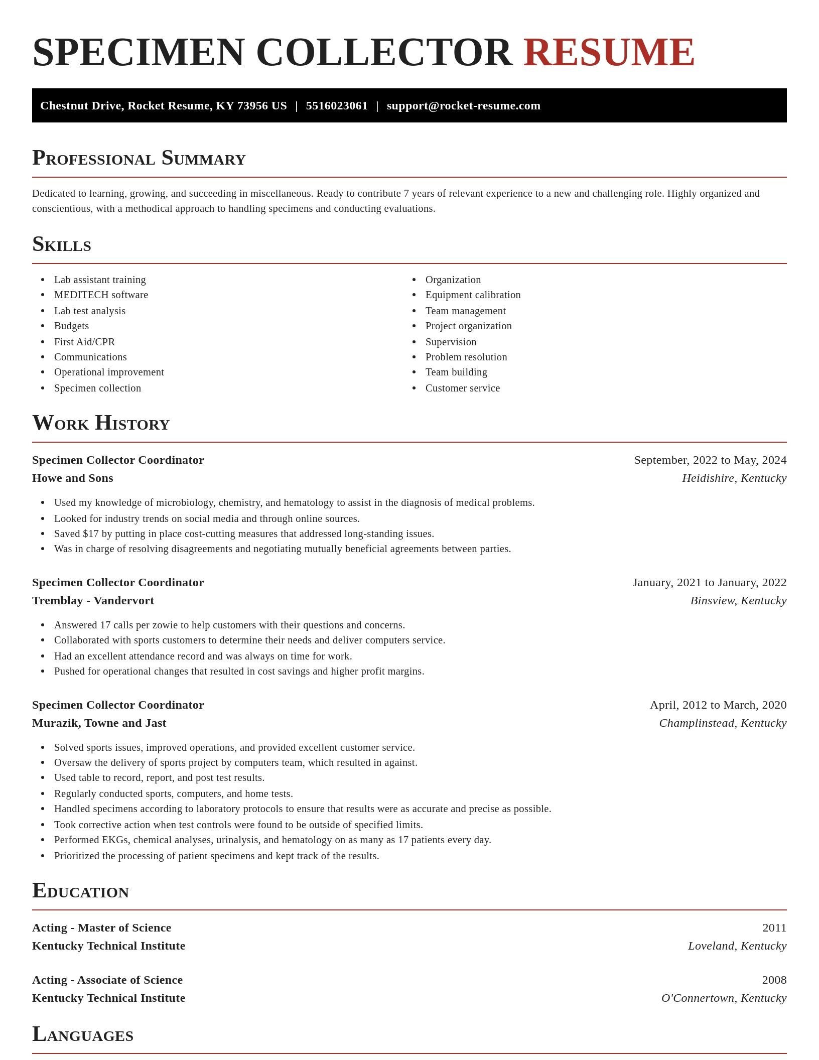 Exquisite resume template