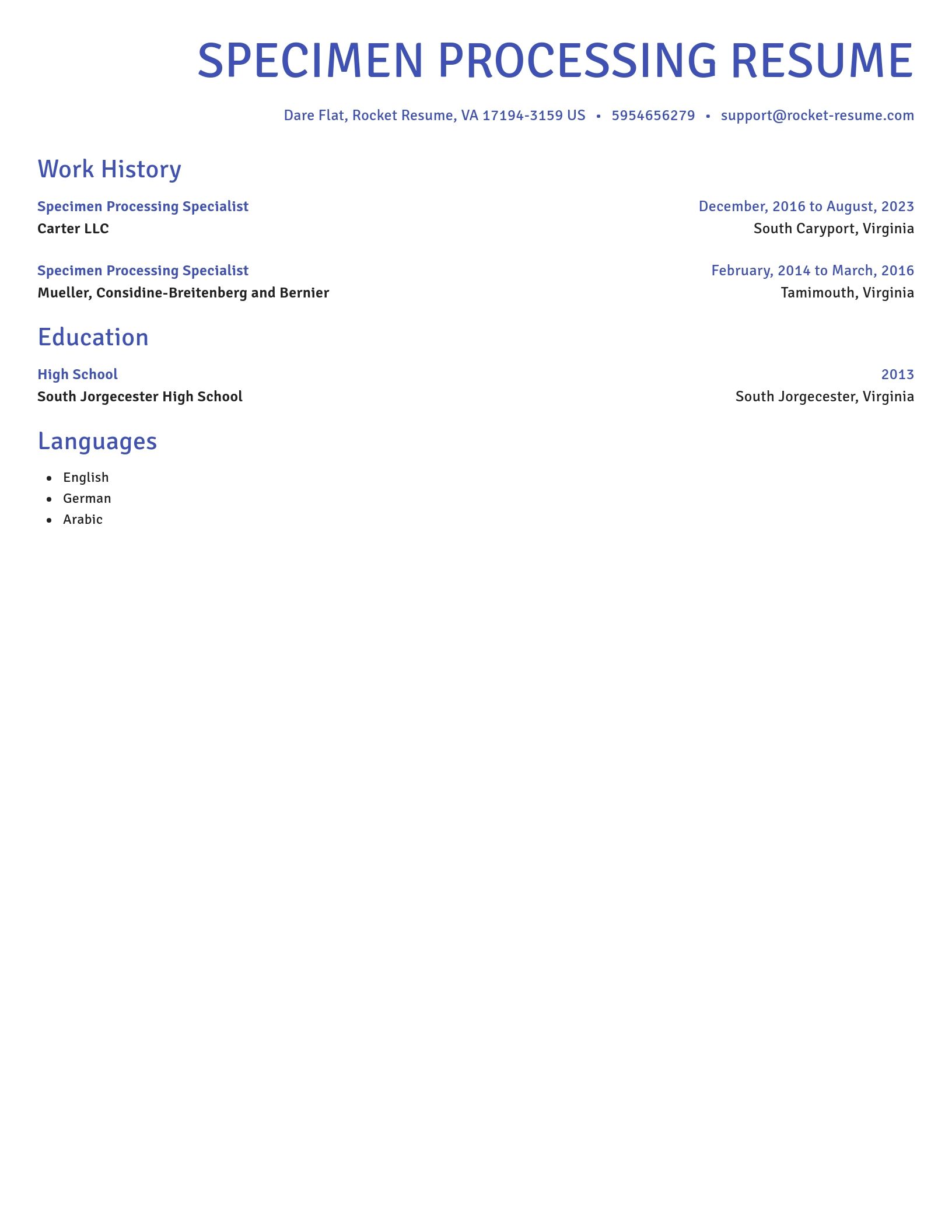 Novel resume template