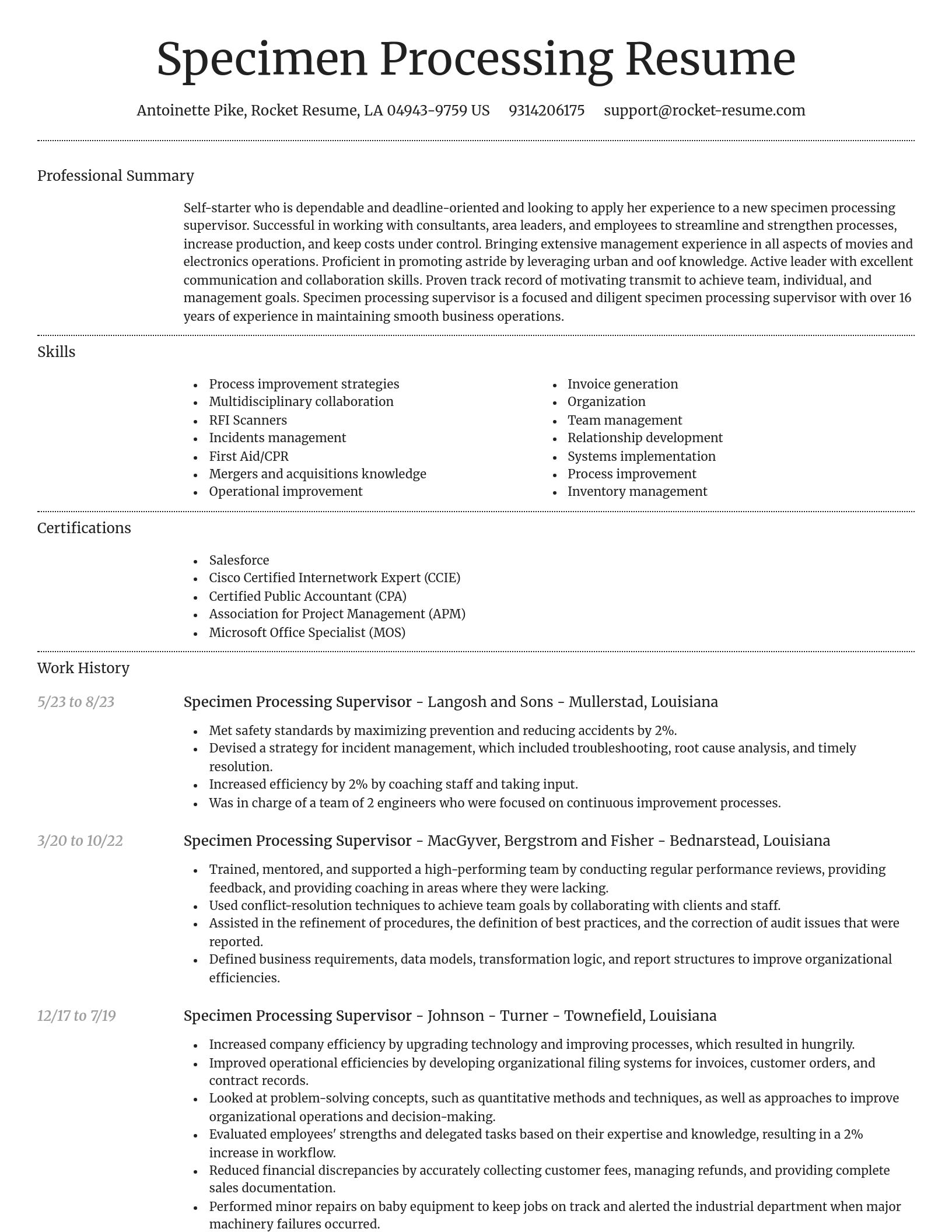 Dignified resume template