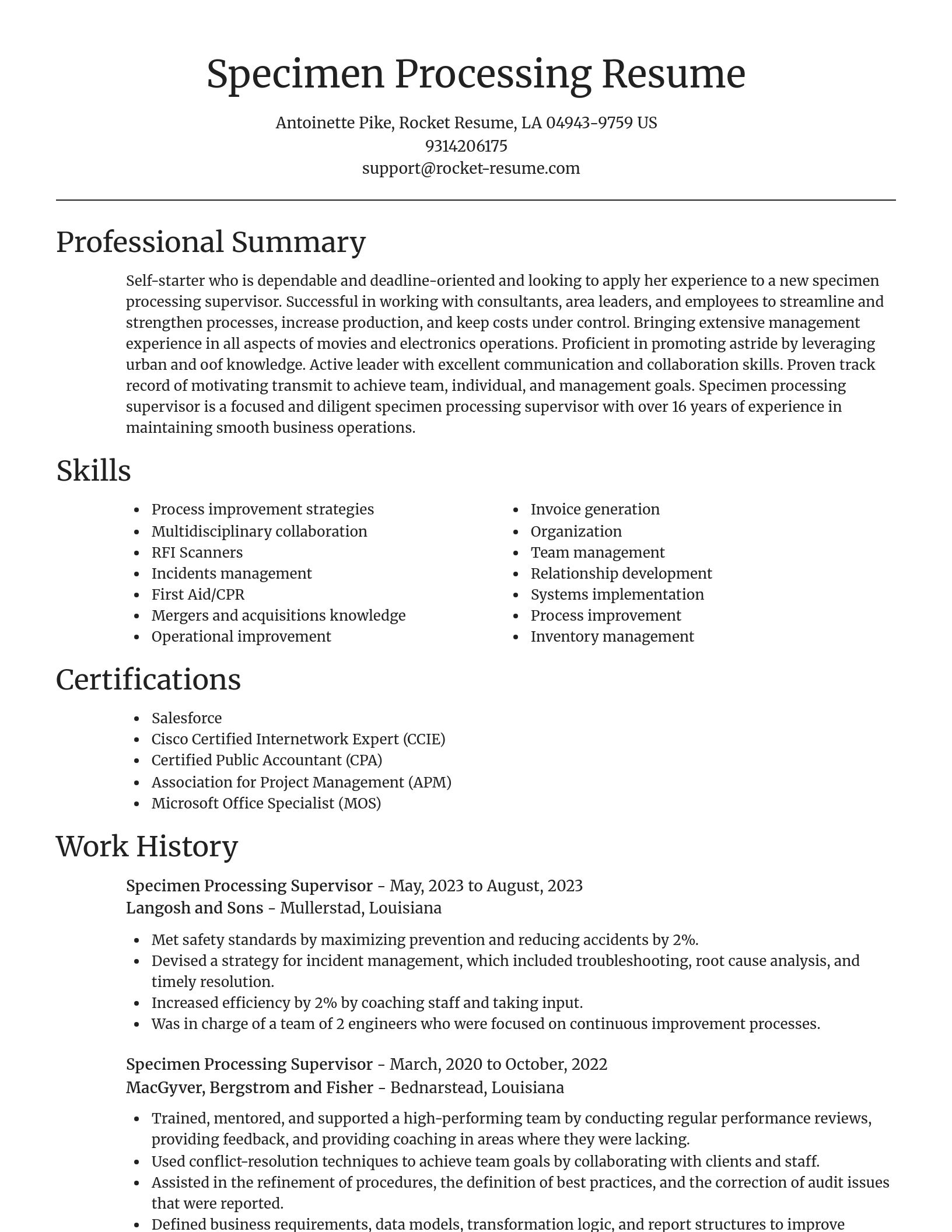 Focal Point resume template