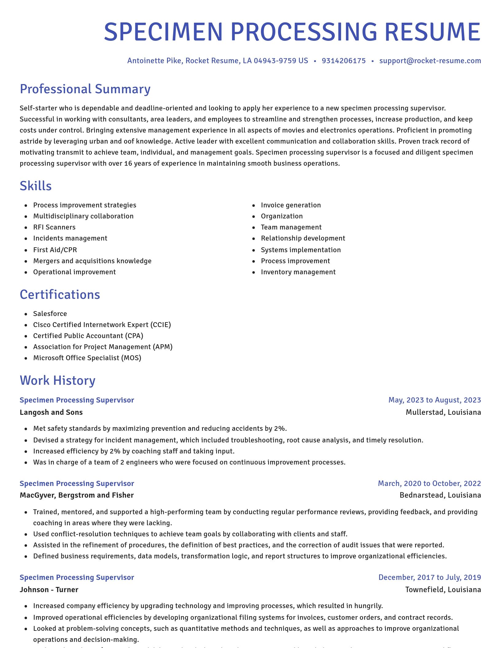 Novel resume template
