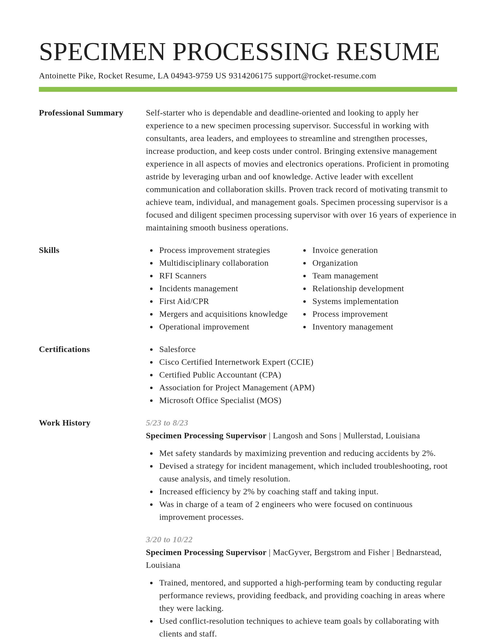 Smart resume template
