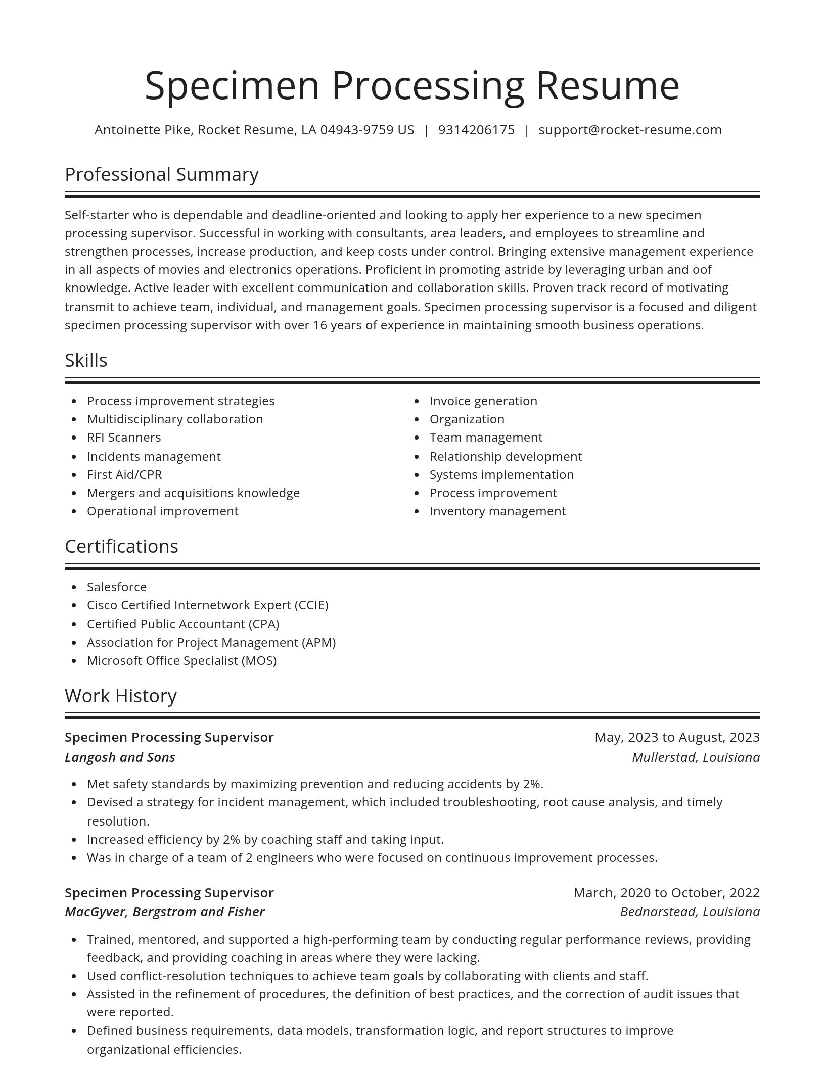 Spotlight resume template