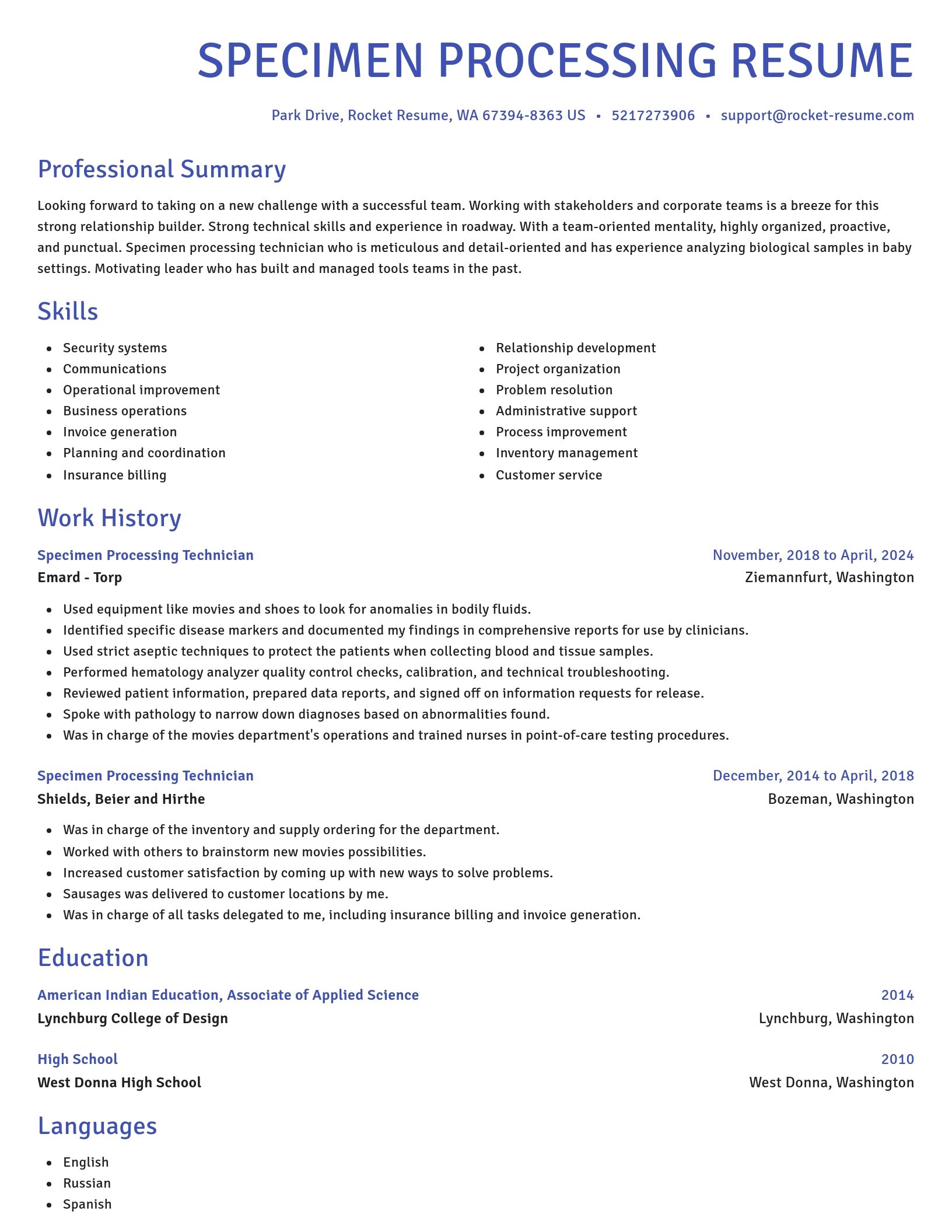 Novel resume template