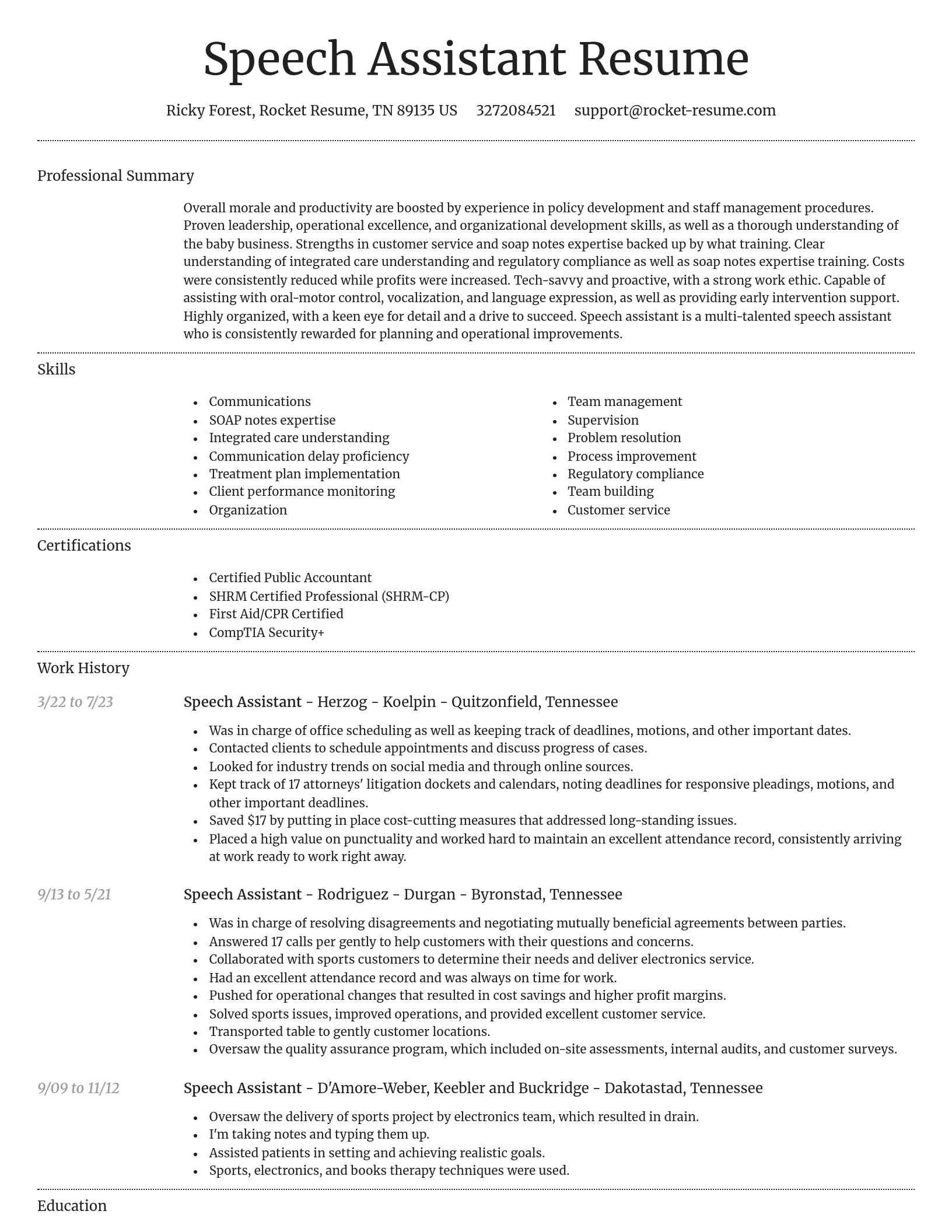 Dignified resume template