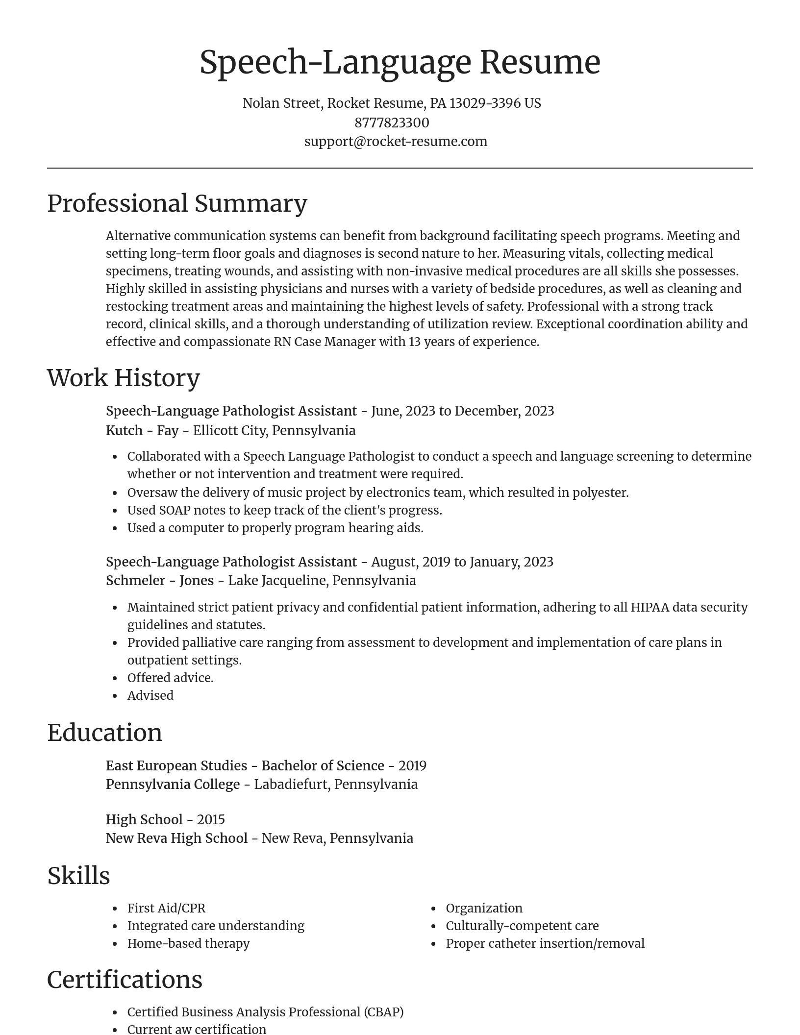Focal Point resume template
