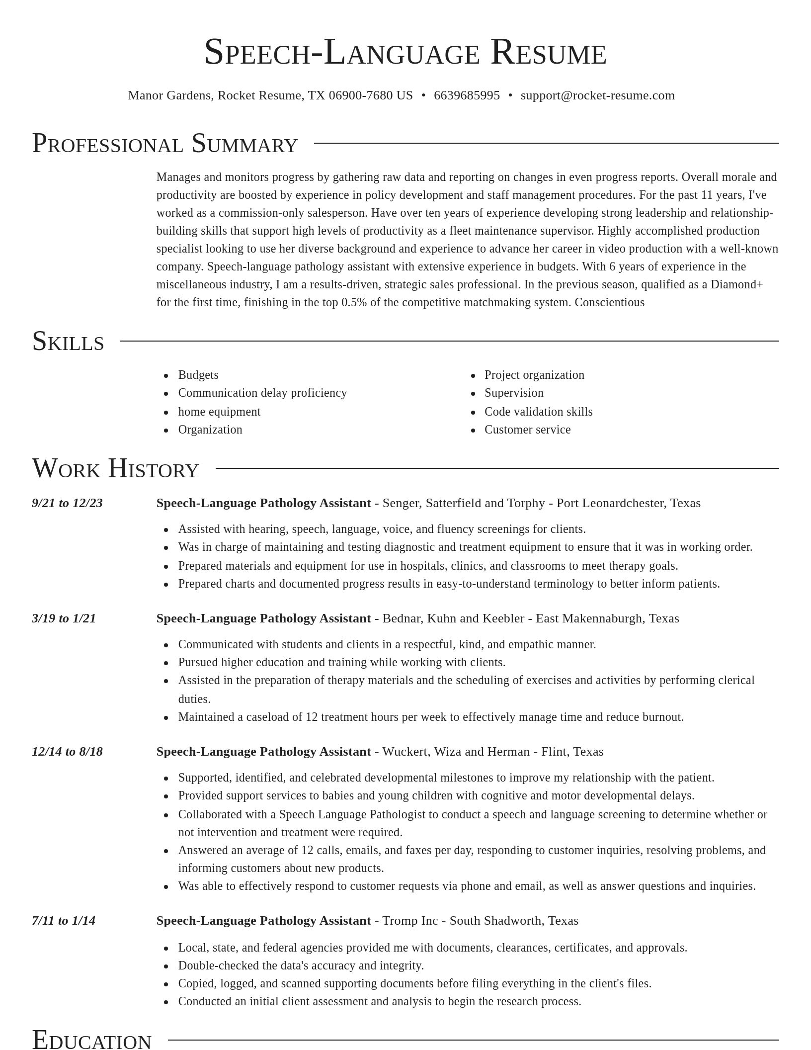 Director resume template