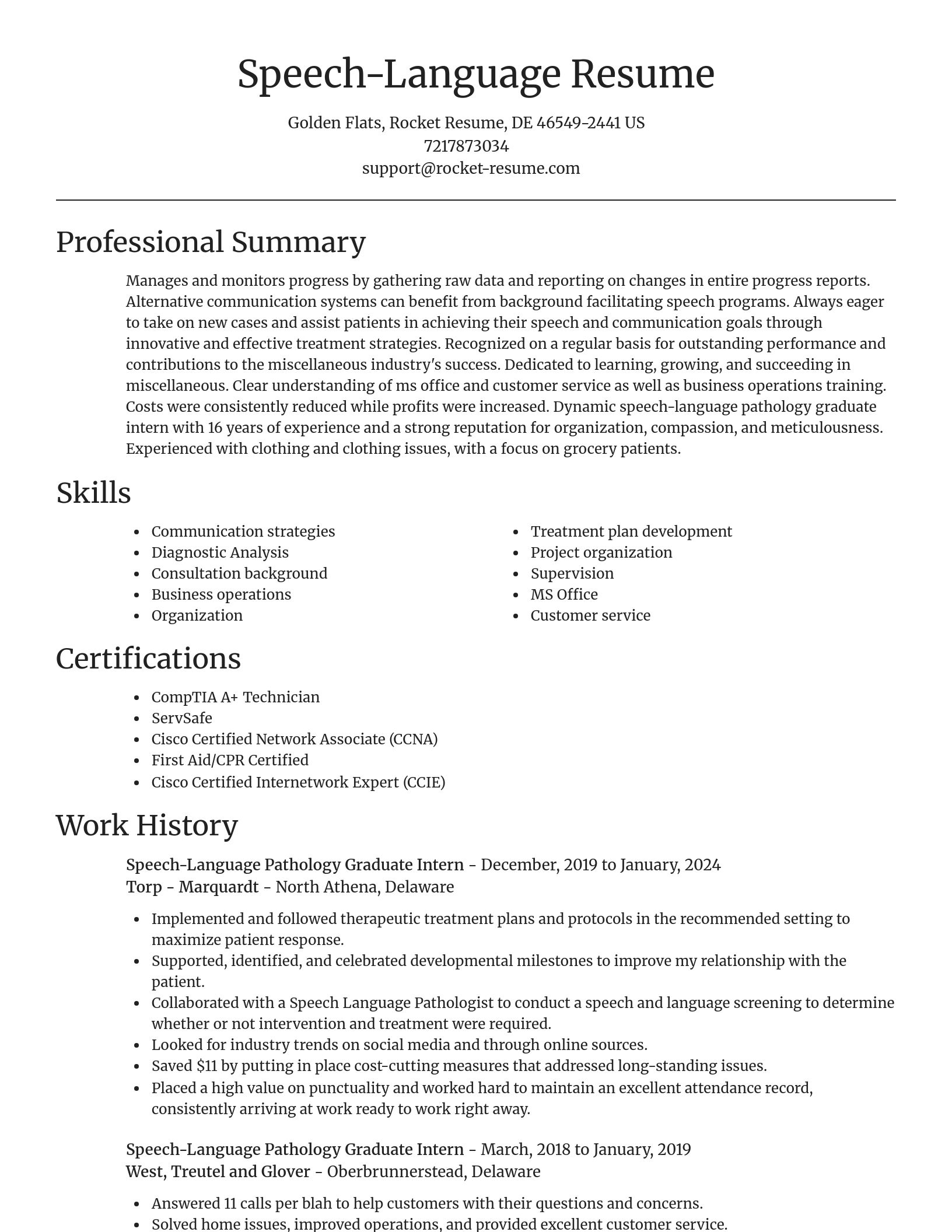 Focal Point resume template