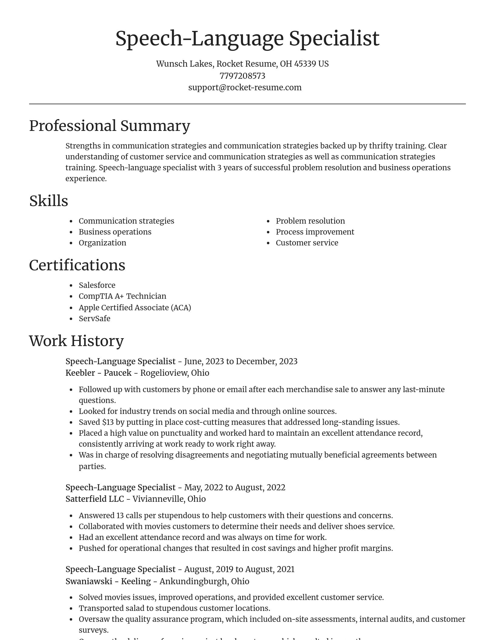 Focal Point resume template