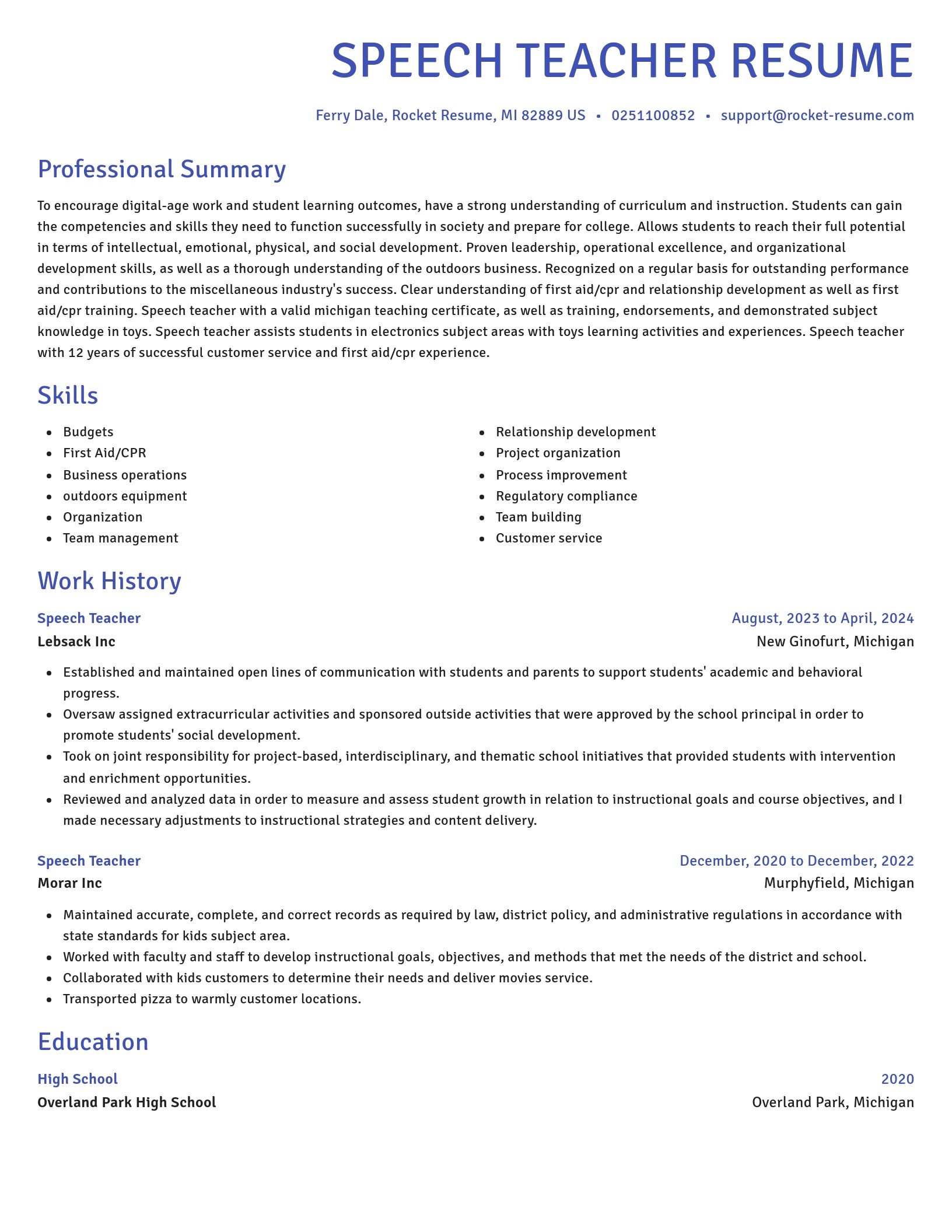 Novel resume template