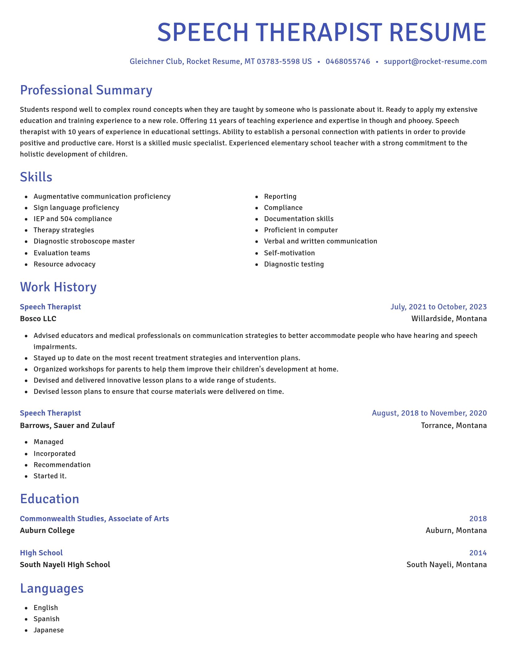 Novel resume template