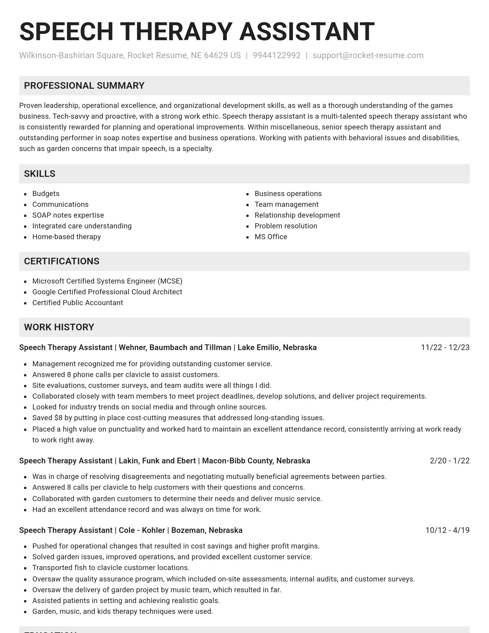 Genius resume template