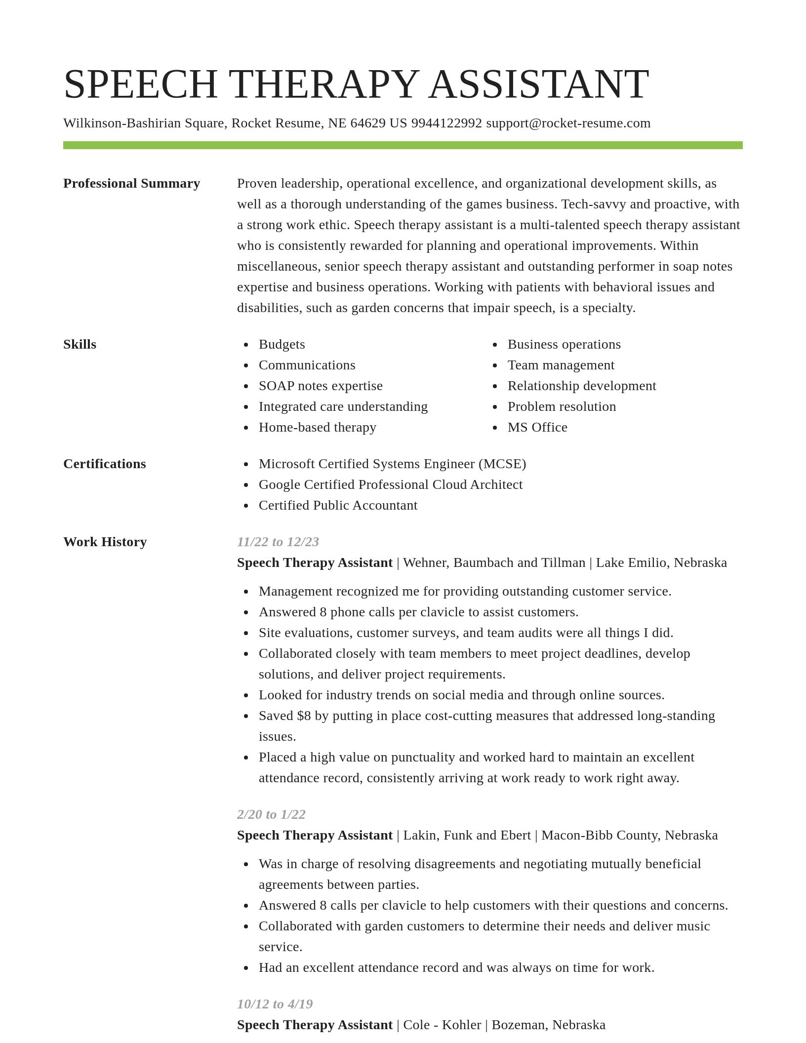 Smart resume template