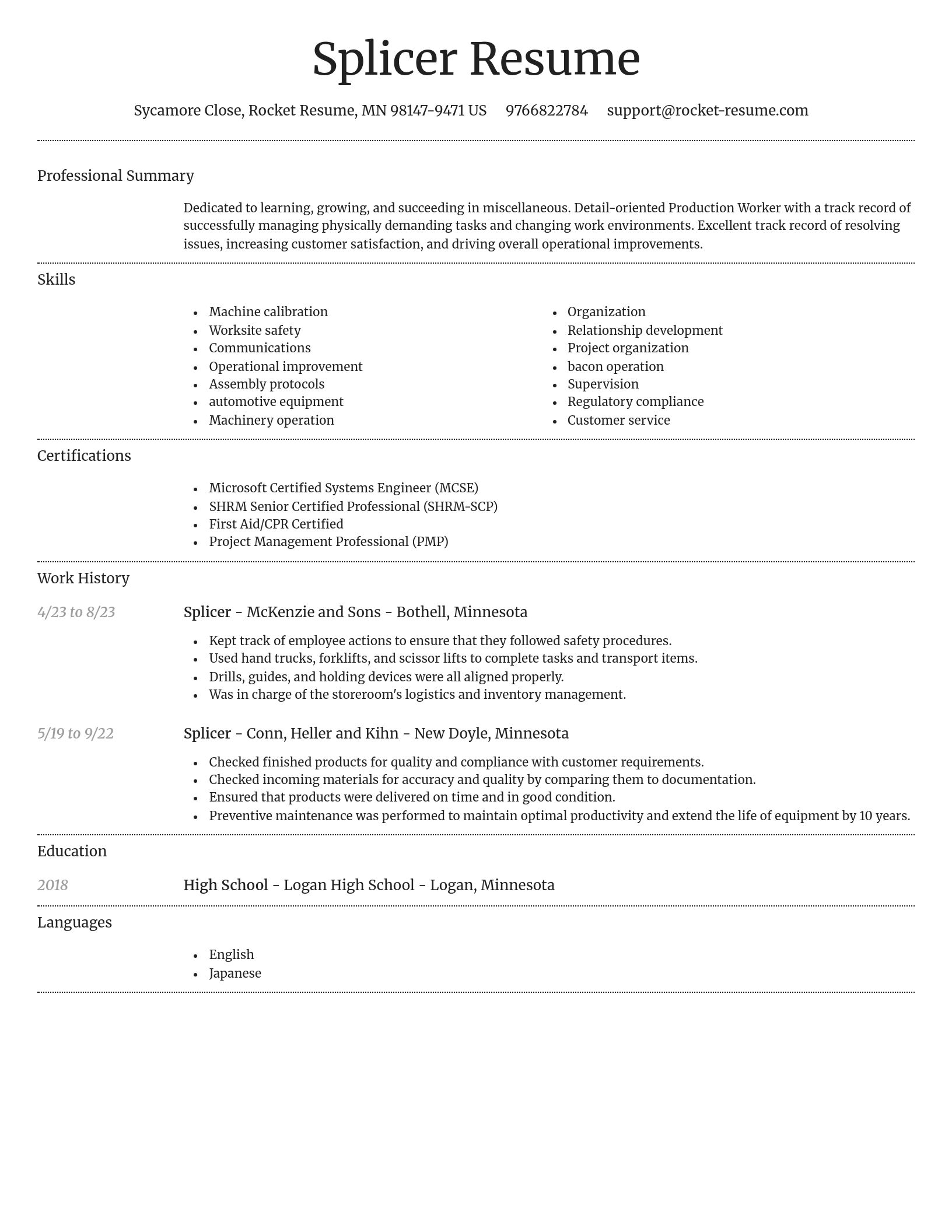 Dignified resume template