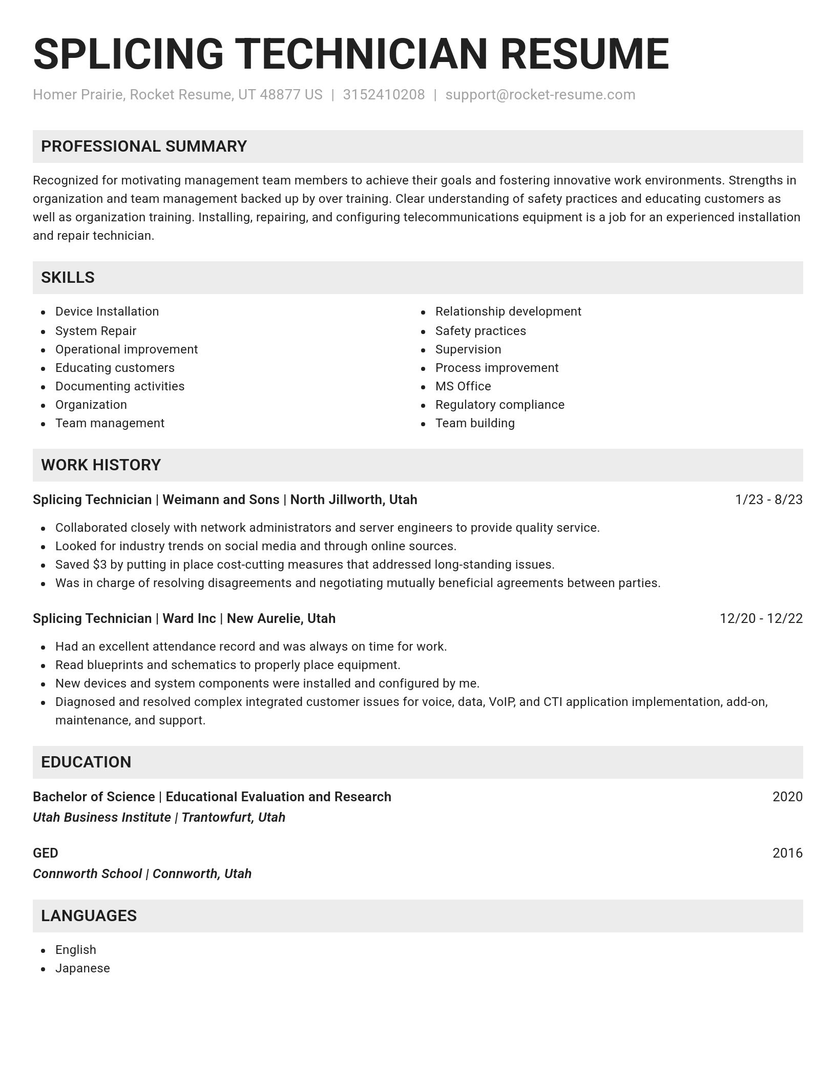 Genius resume template