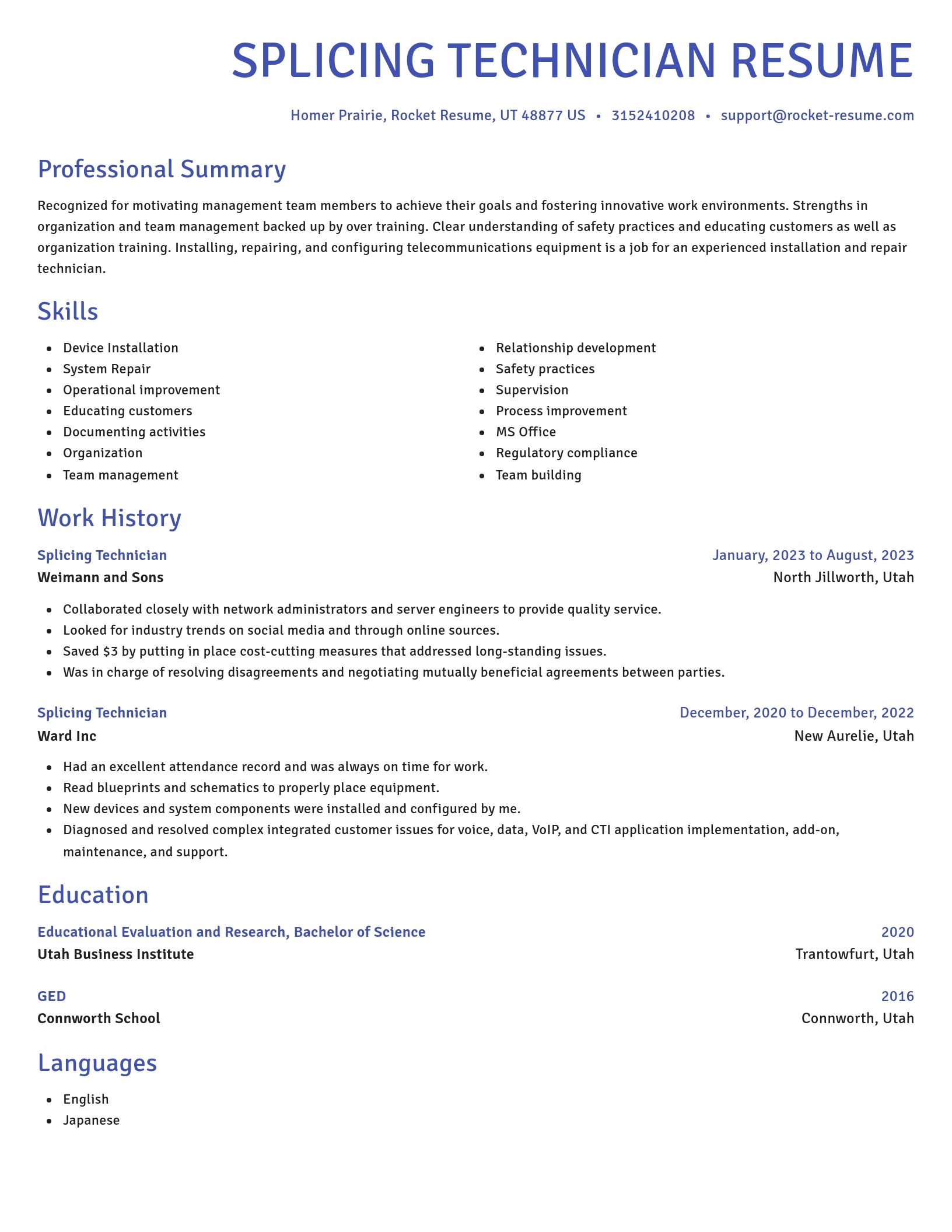 Novel resume template