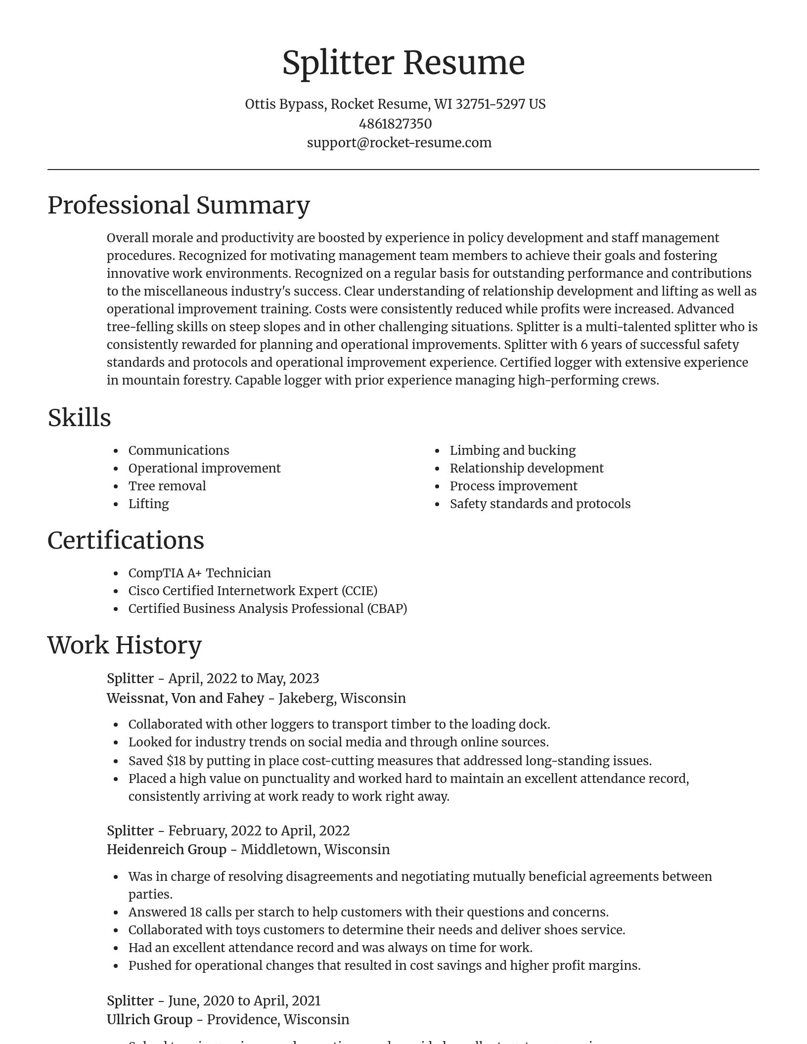 Focal Point resume template