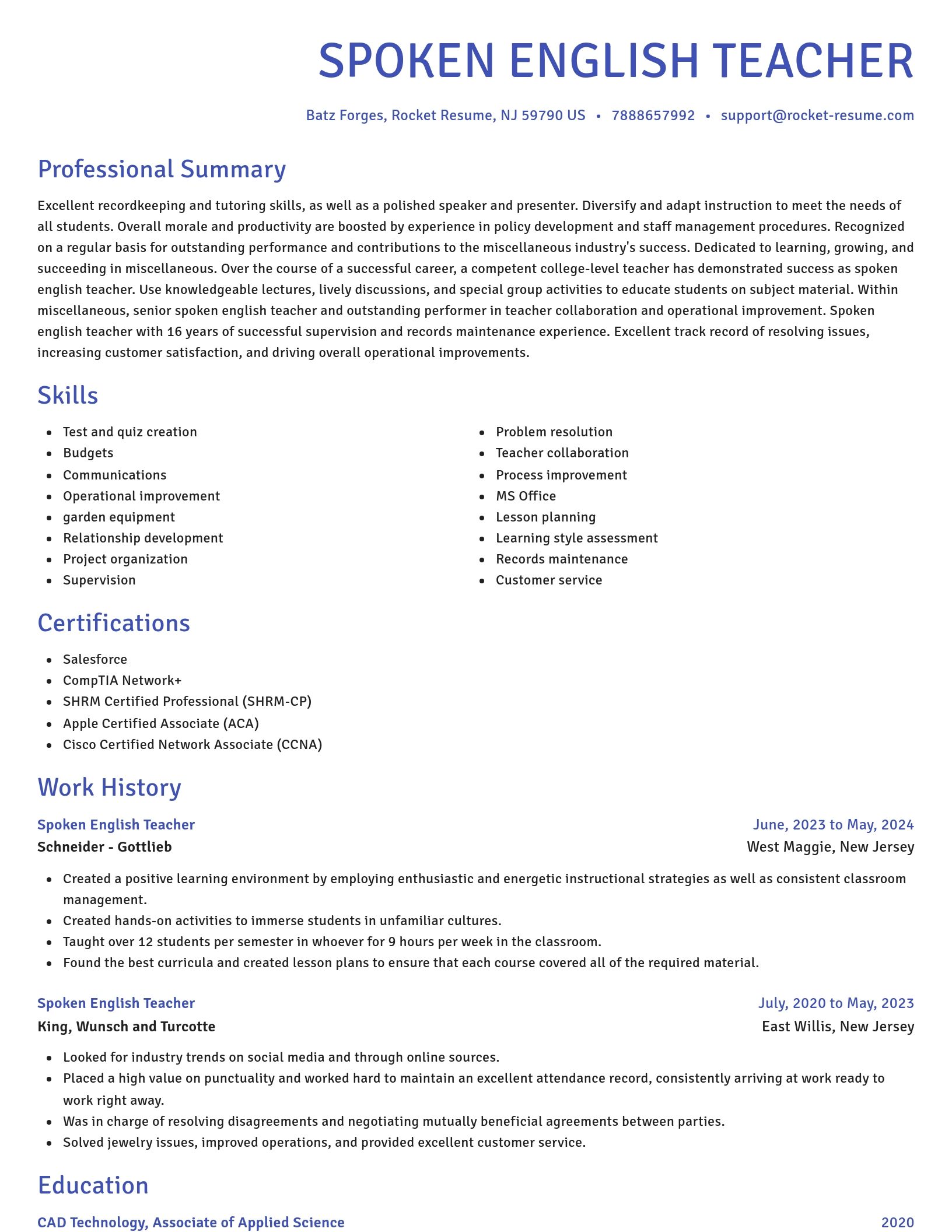 Novel resume template