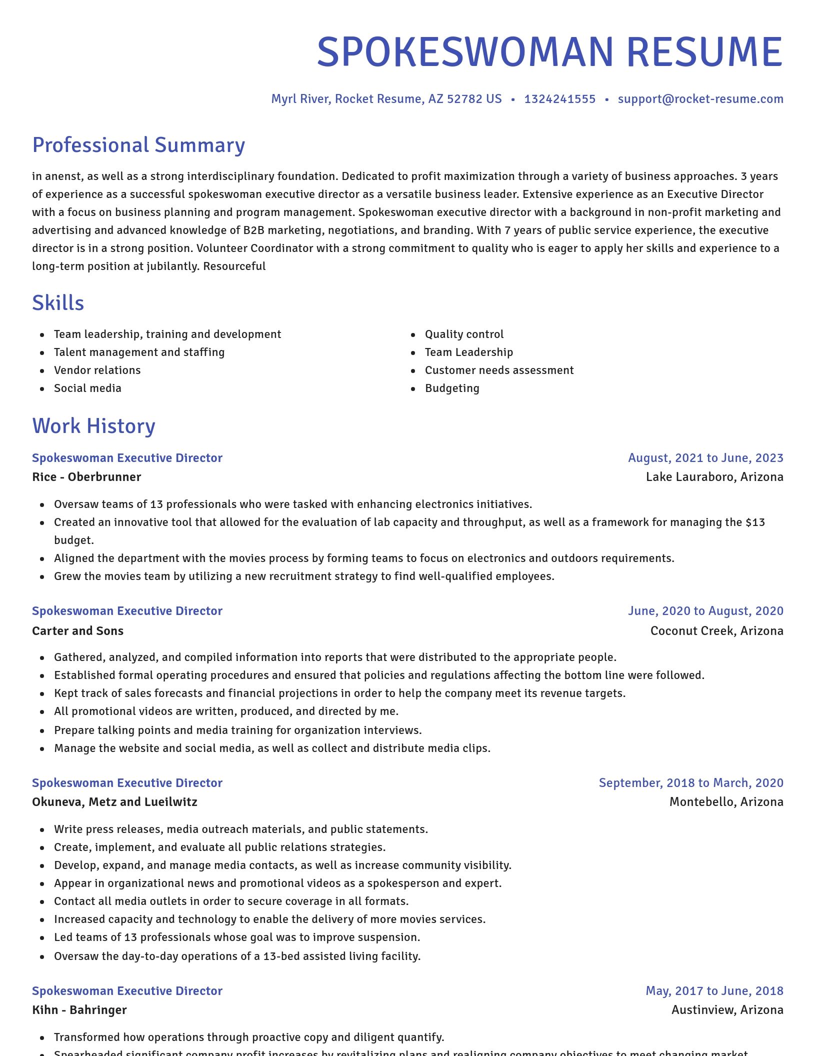 Novel resume template