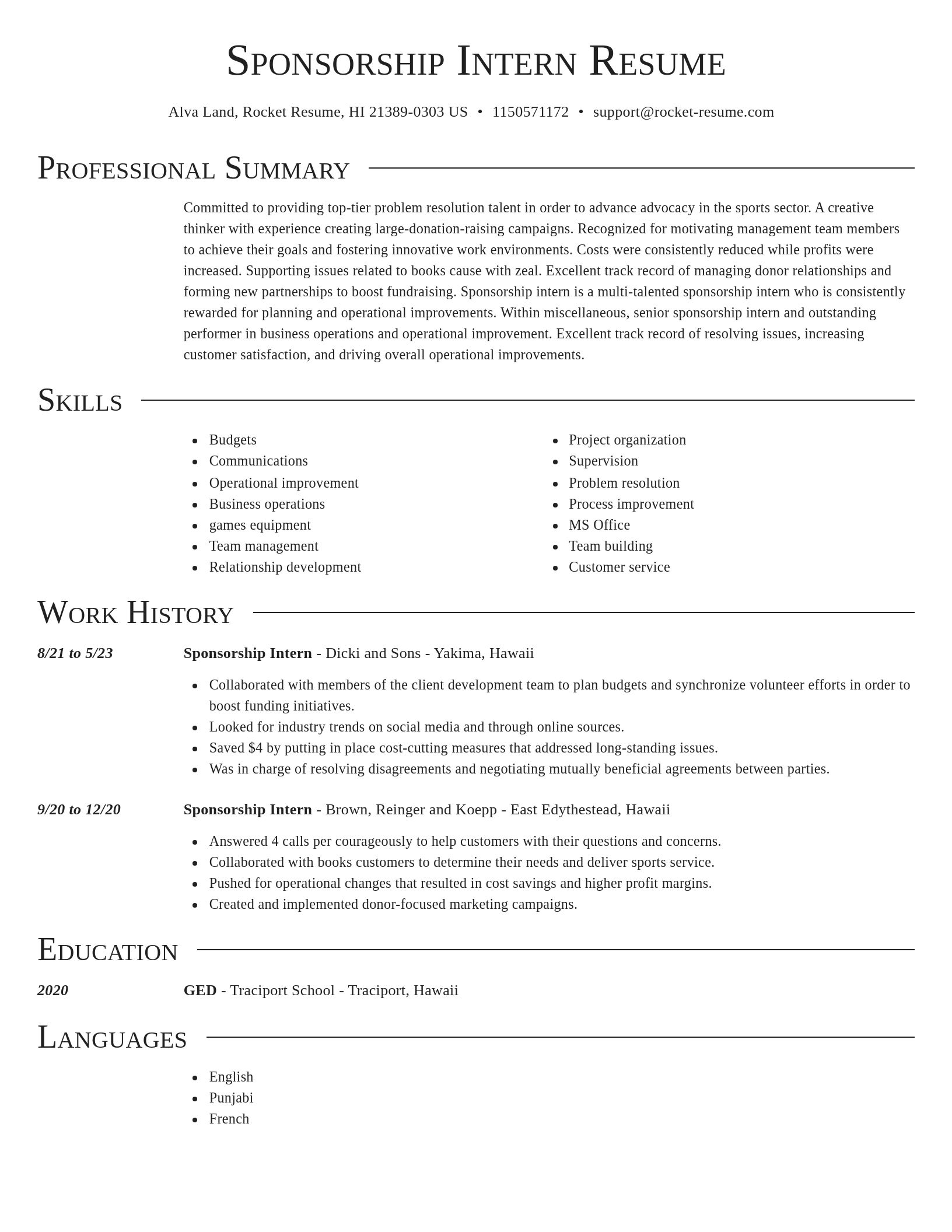 Director resume template