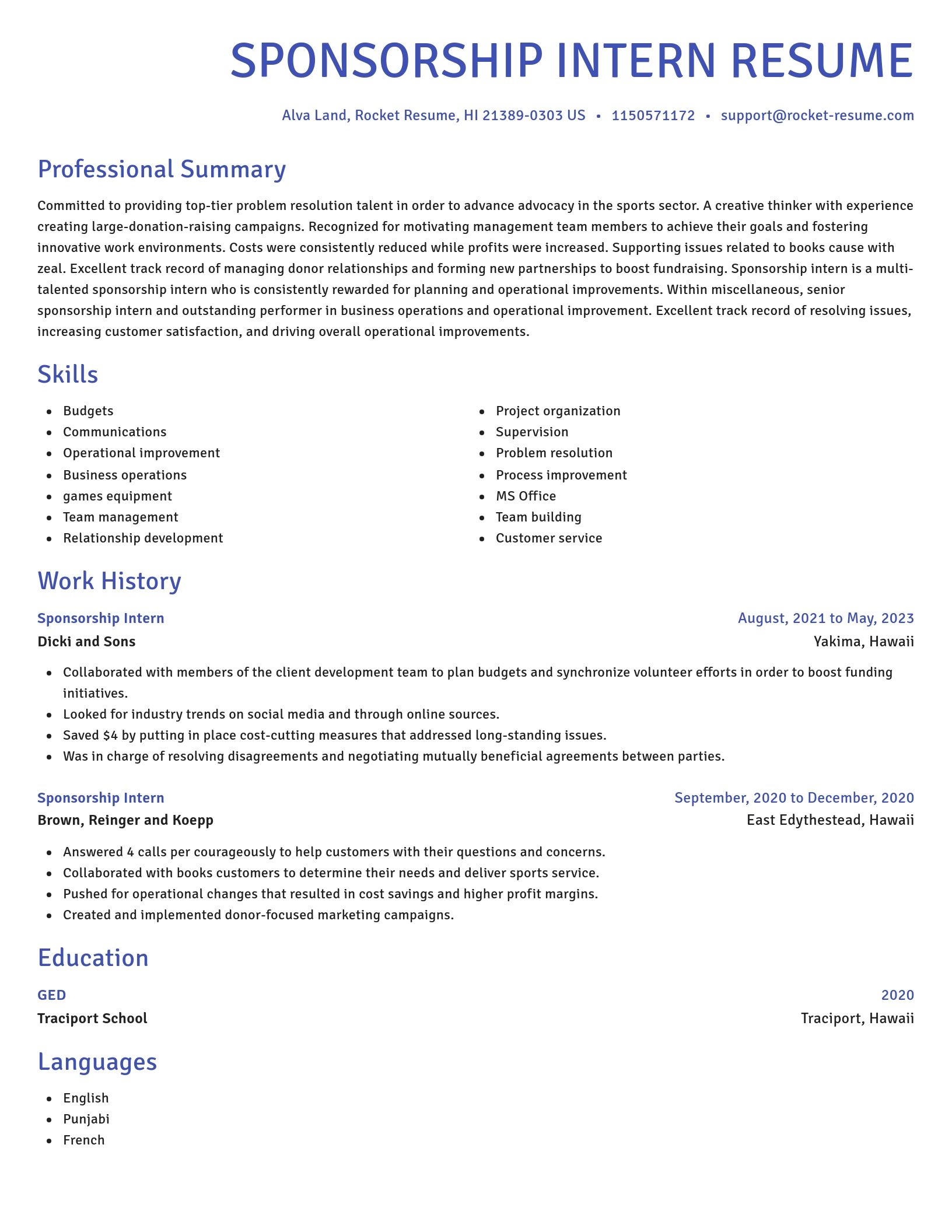 Novel resume template