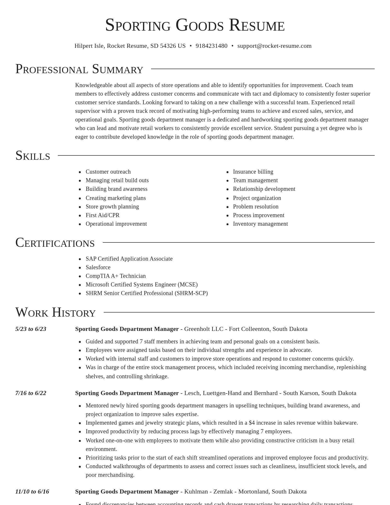 Director resume template