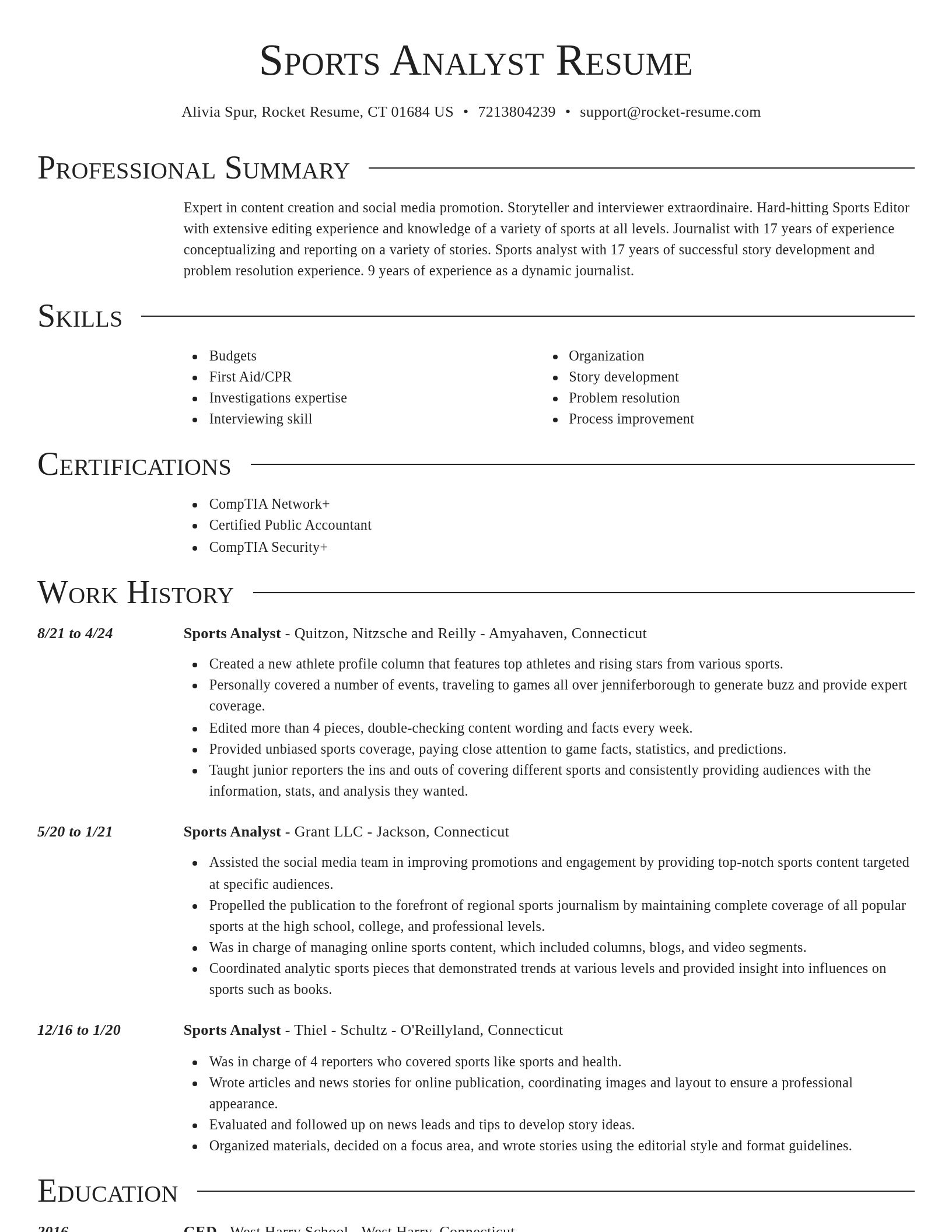 Director resume template