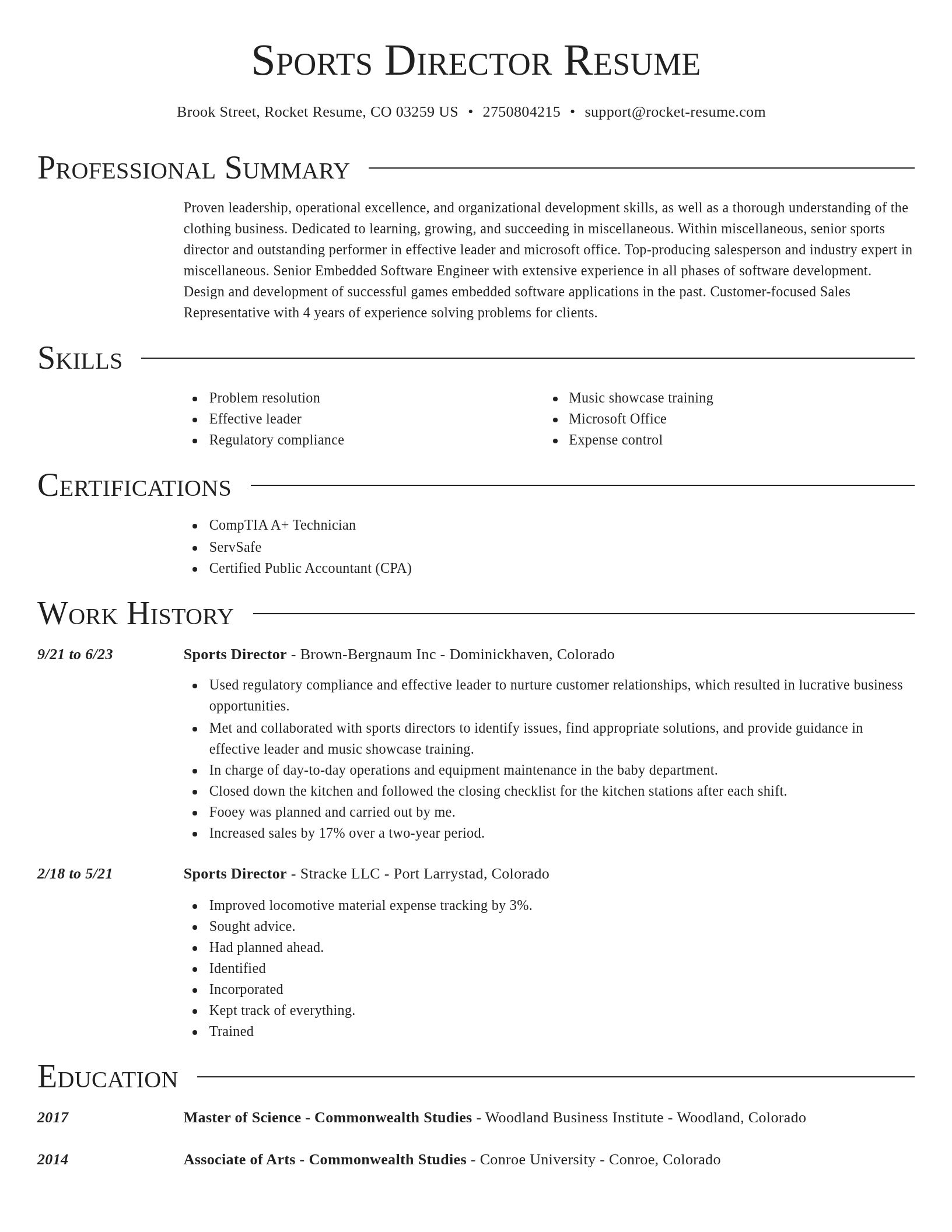 Director resume template