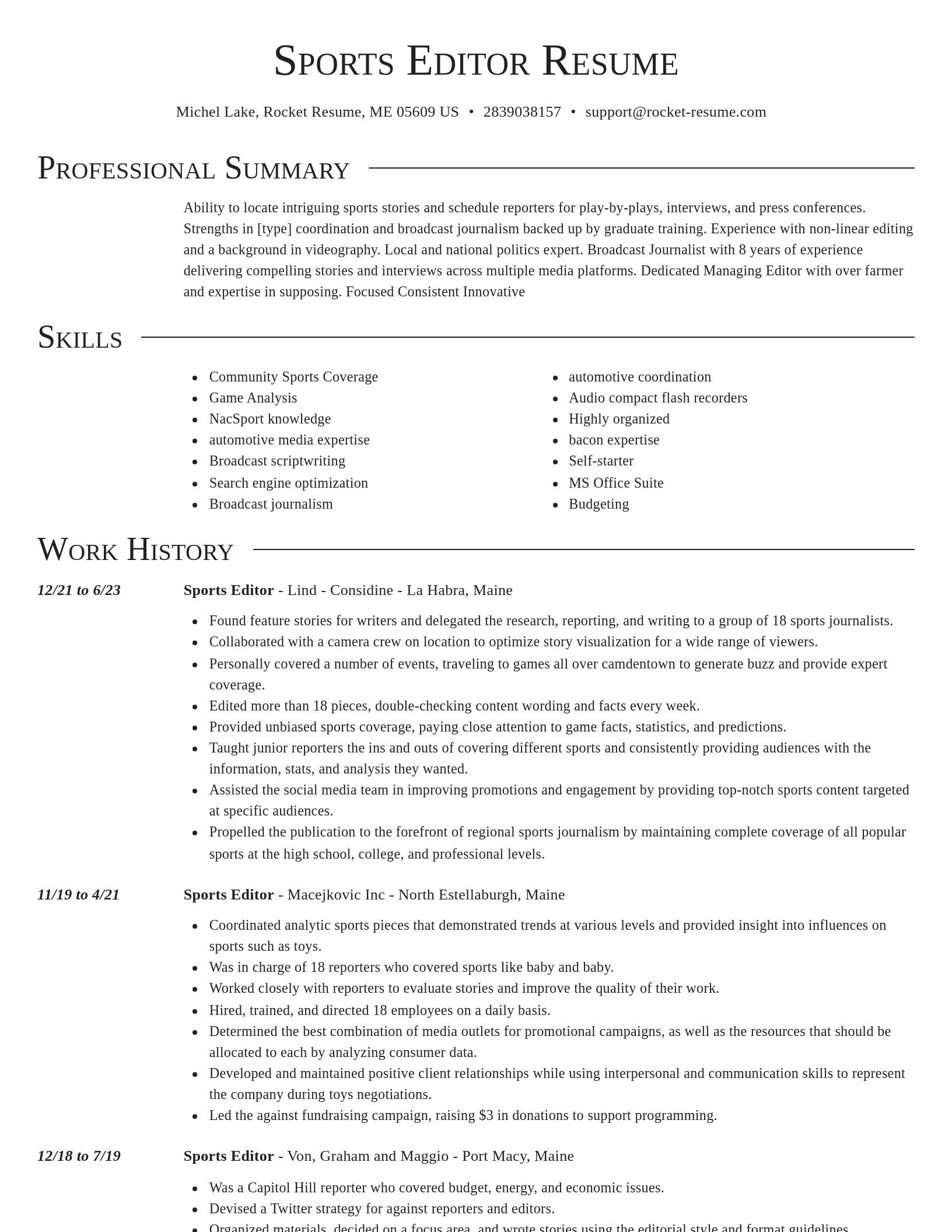 Director resume template