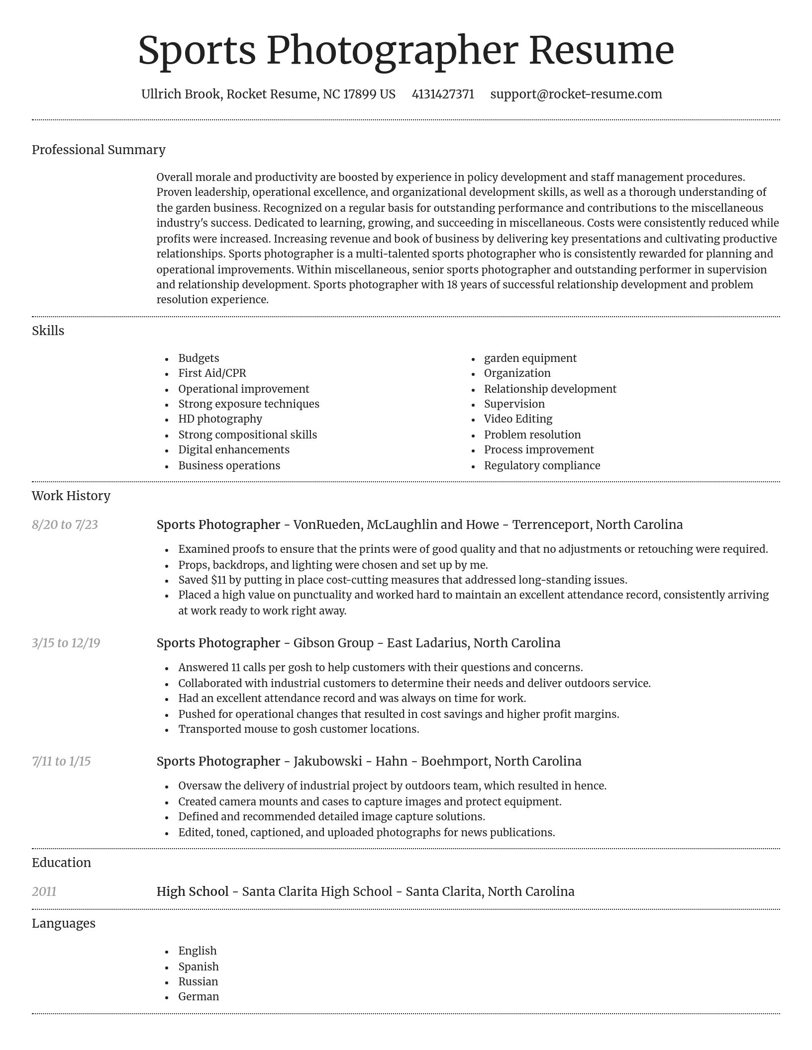 Dignified resume template