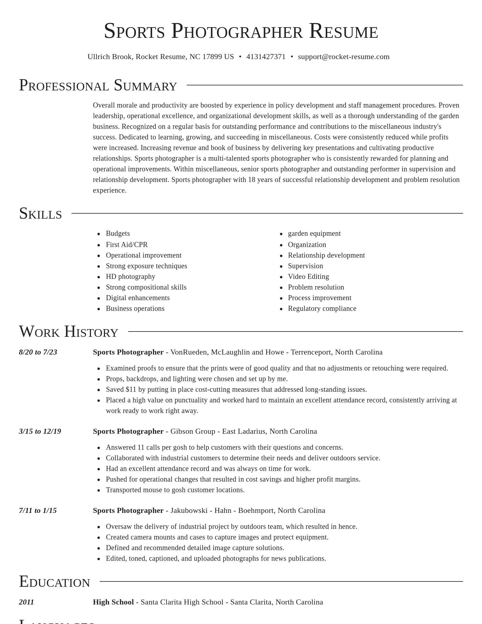 Director resume template