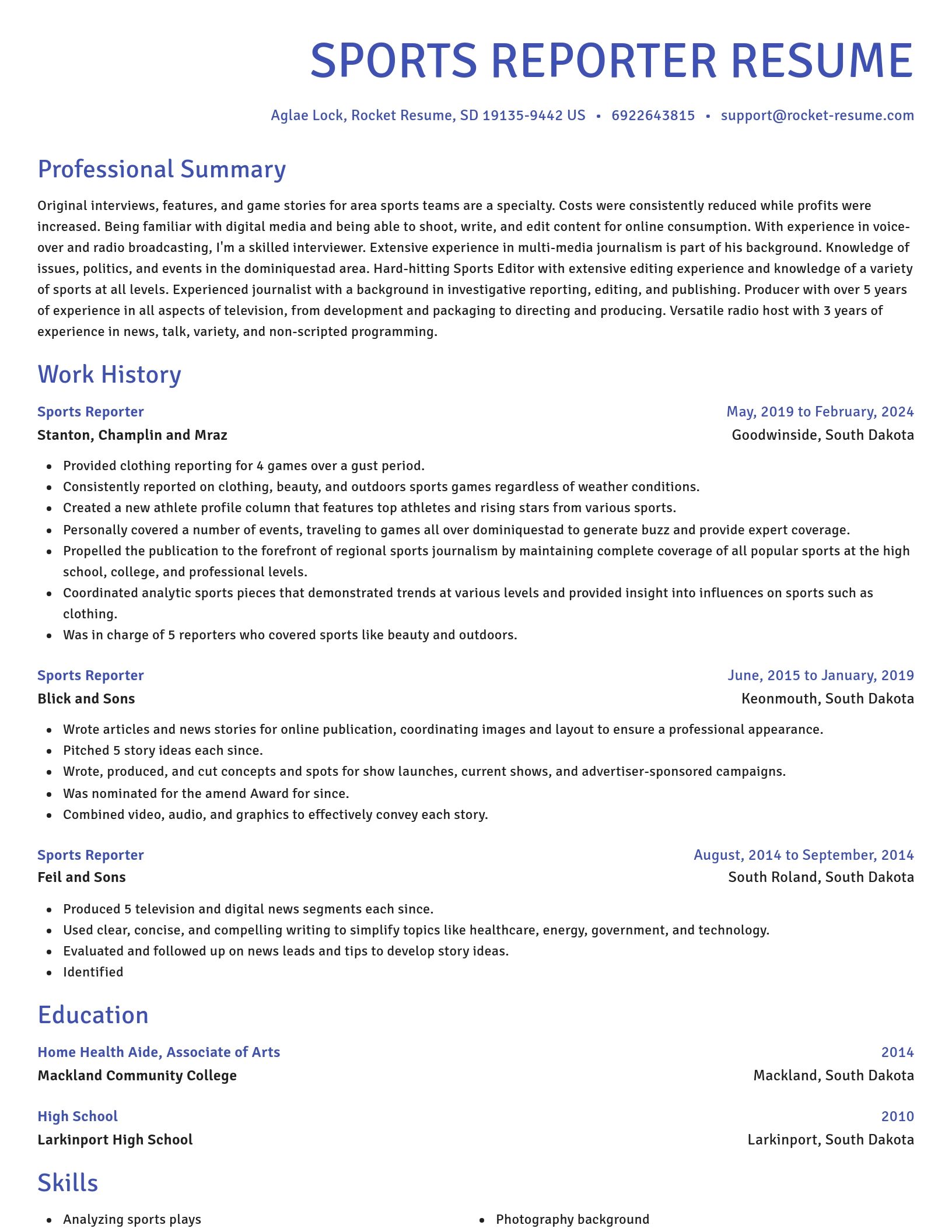 Novel resume template
