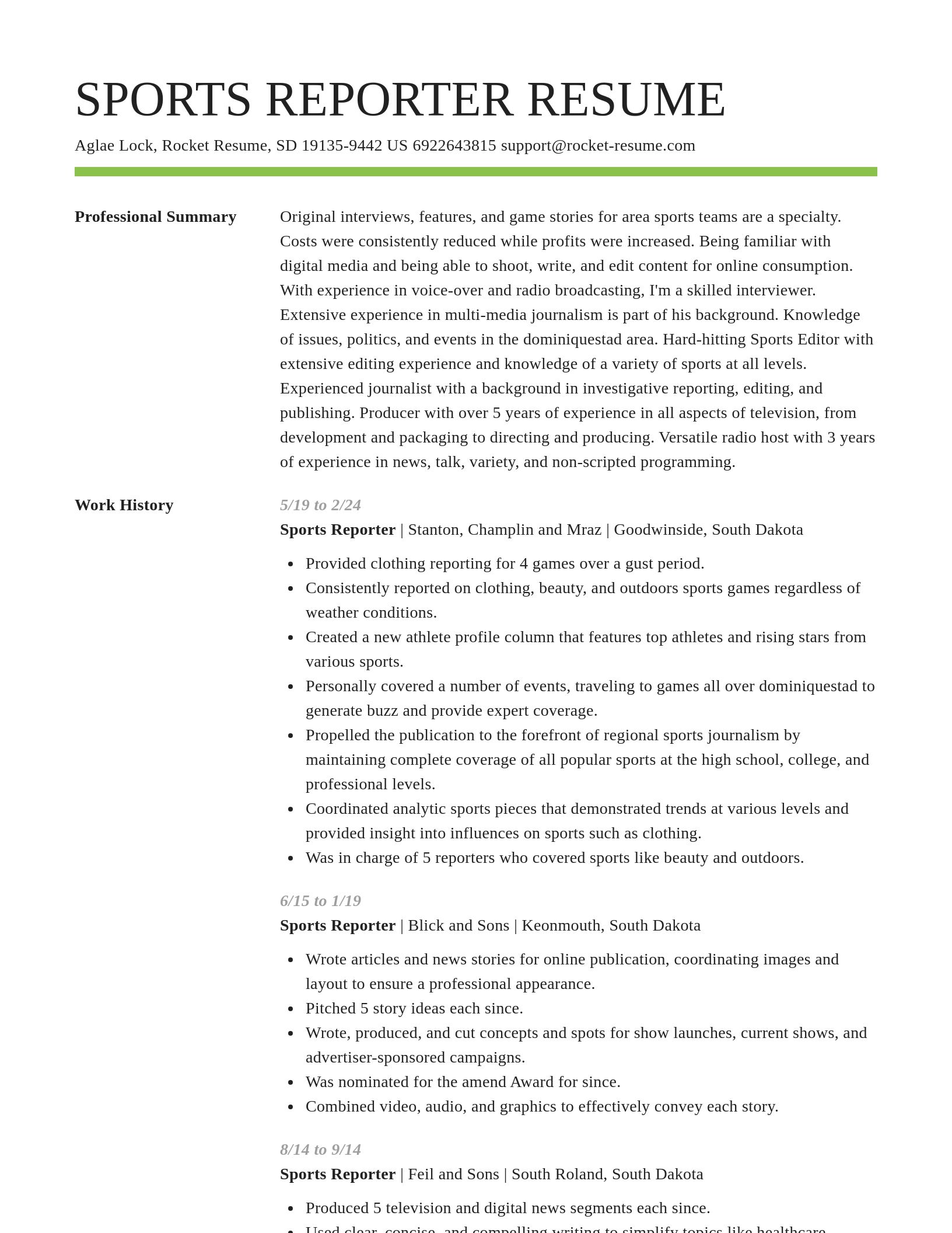 Smart resume template