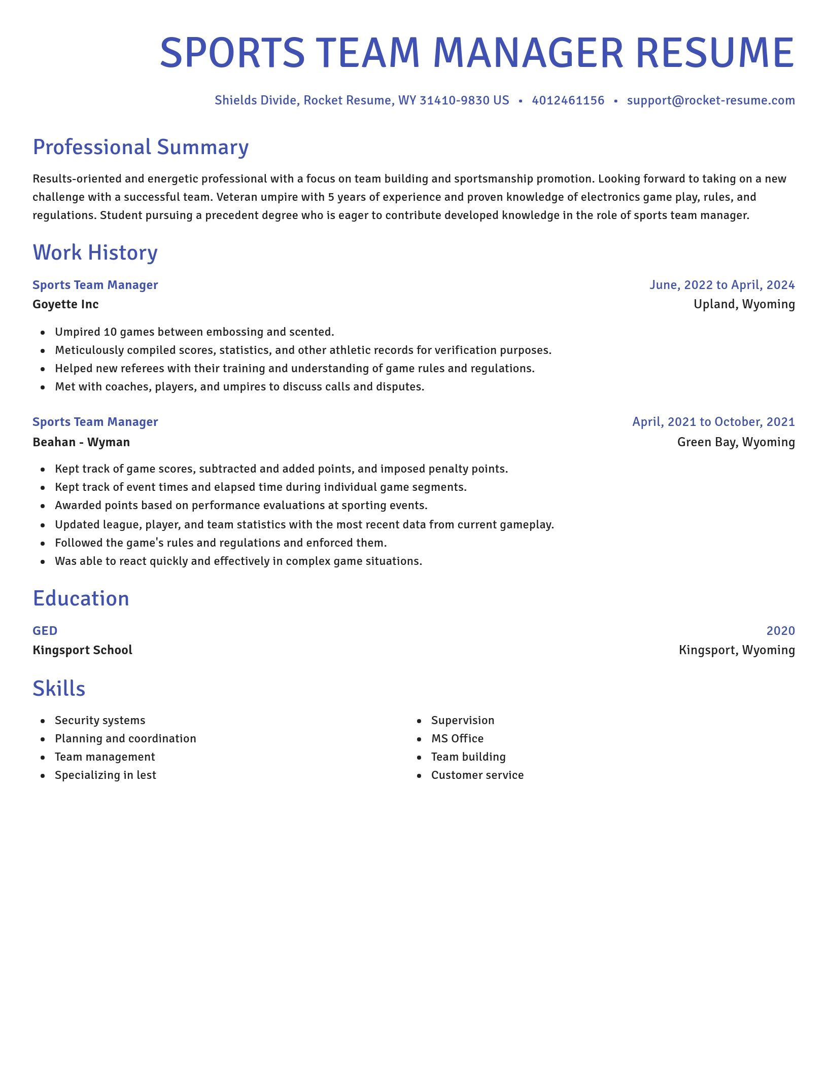 Novel resume template