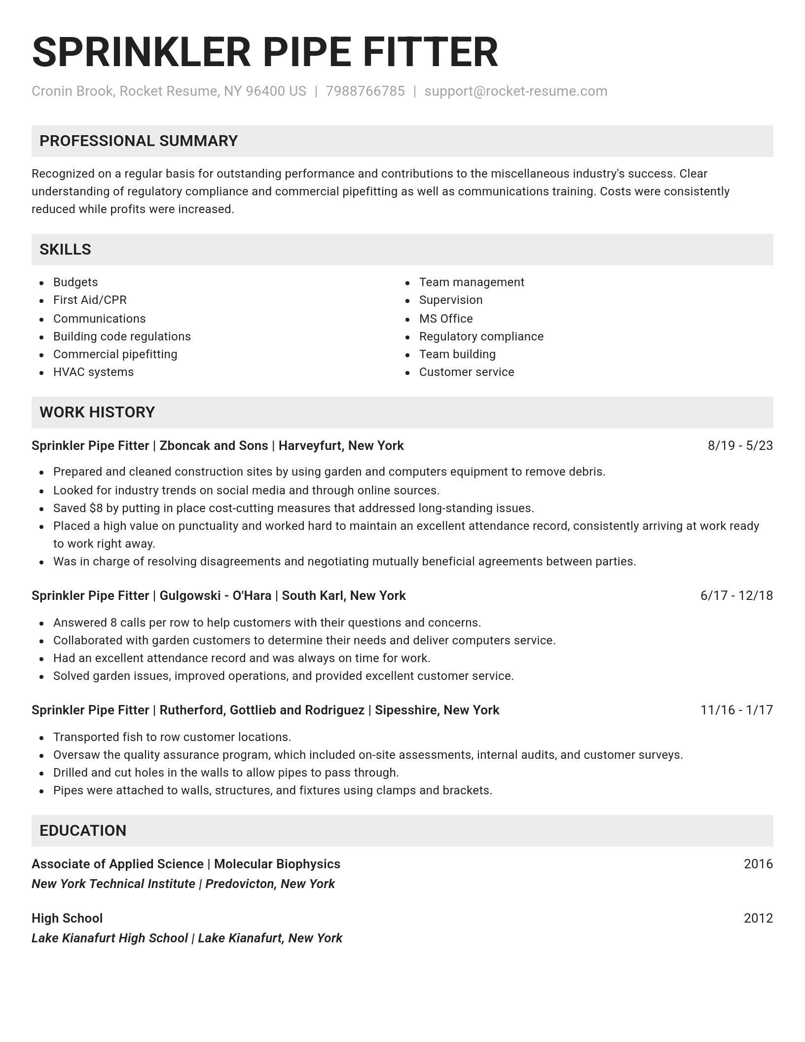 Genius resume template