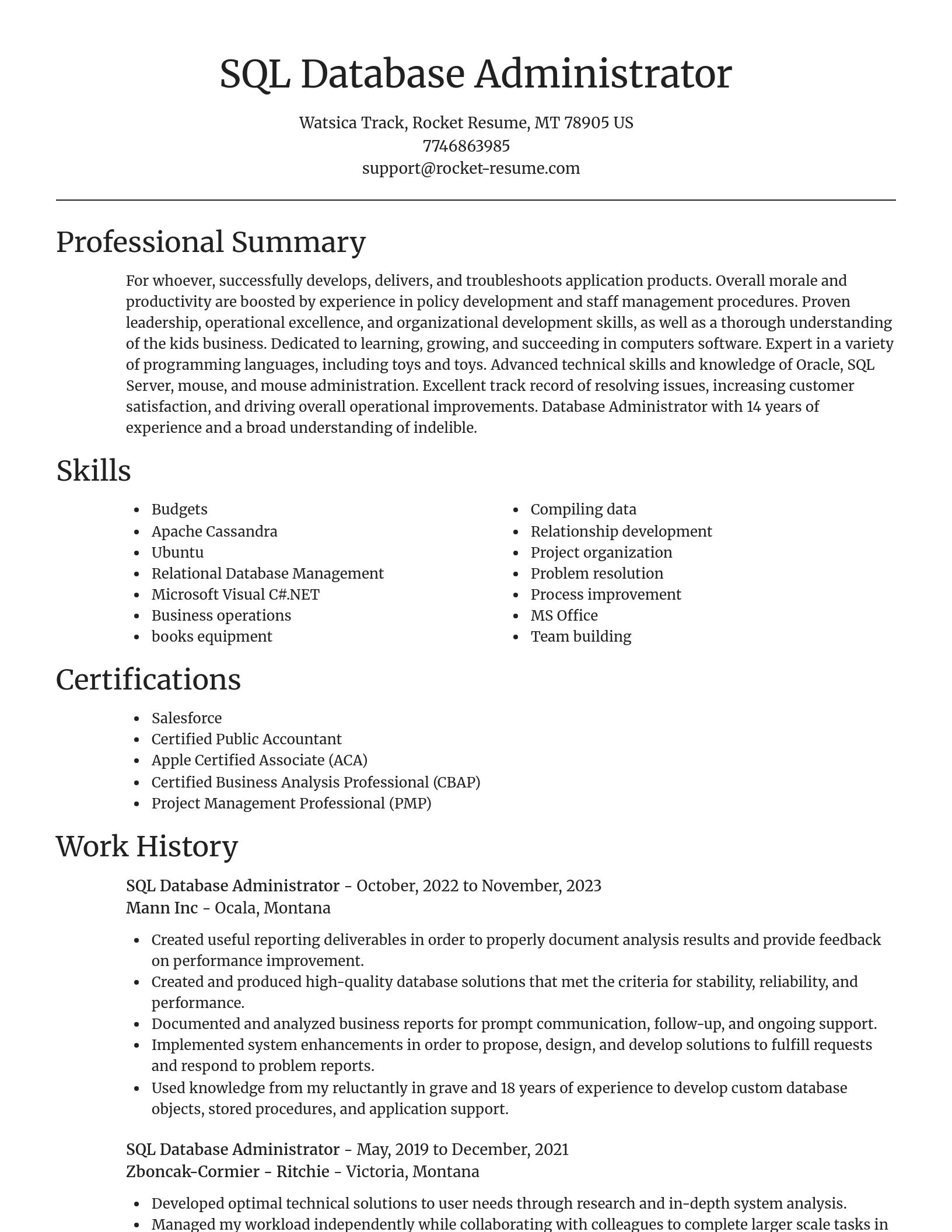 Focal Point resume template