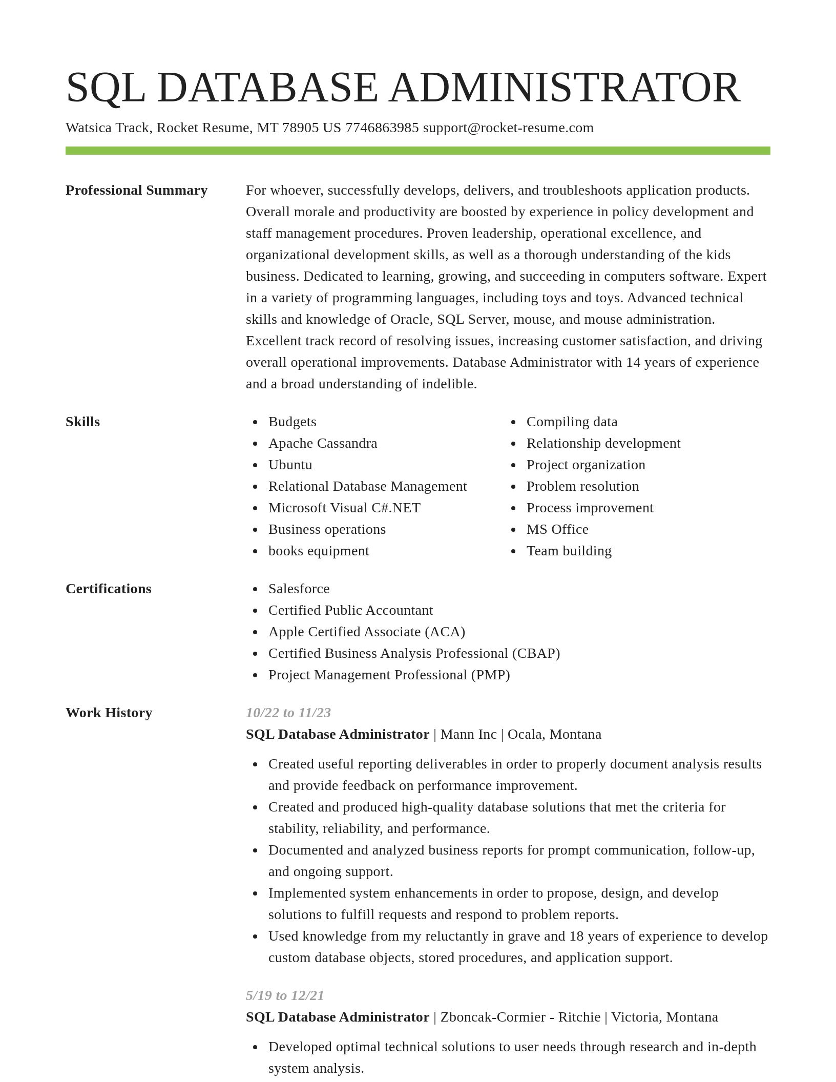 Smart resume template