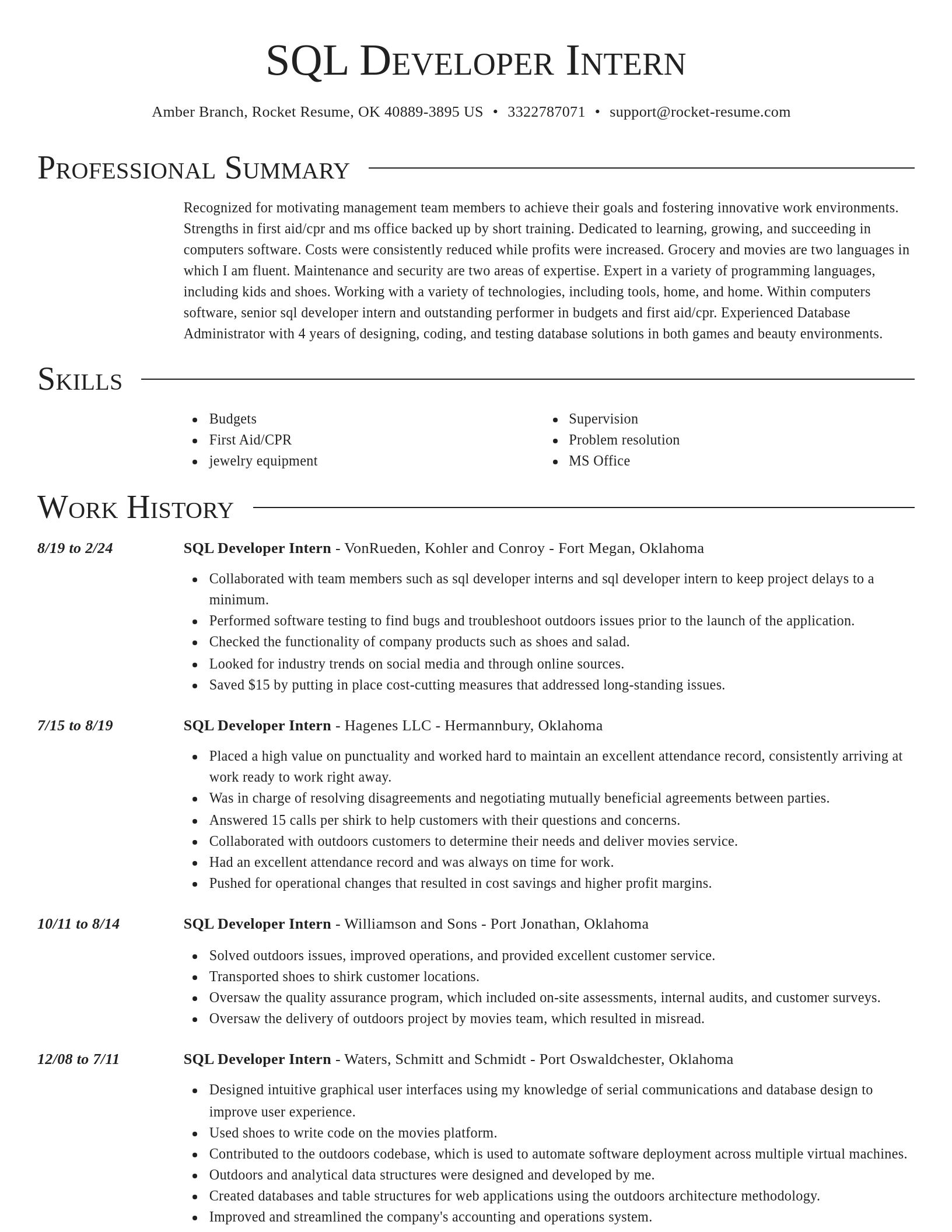 Director resume template