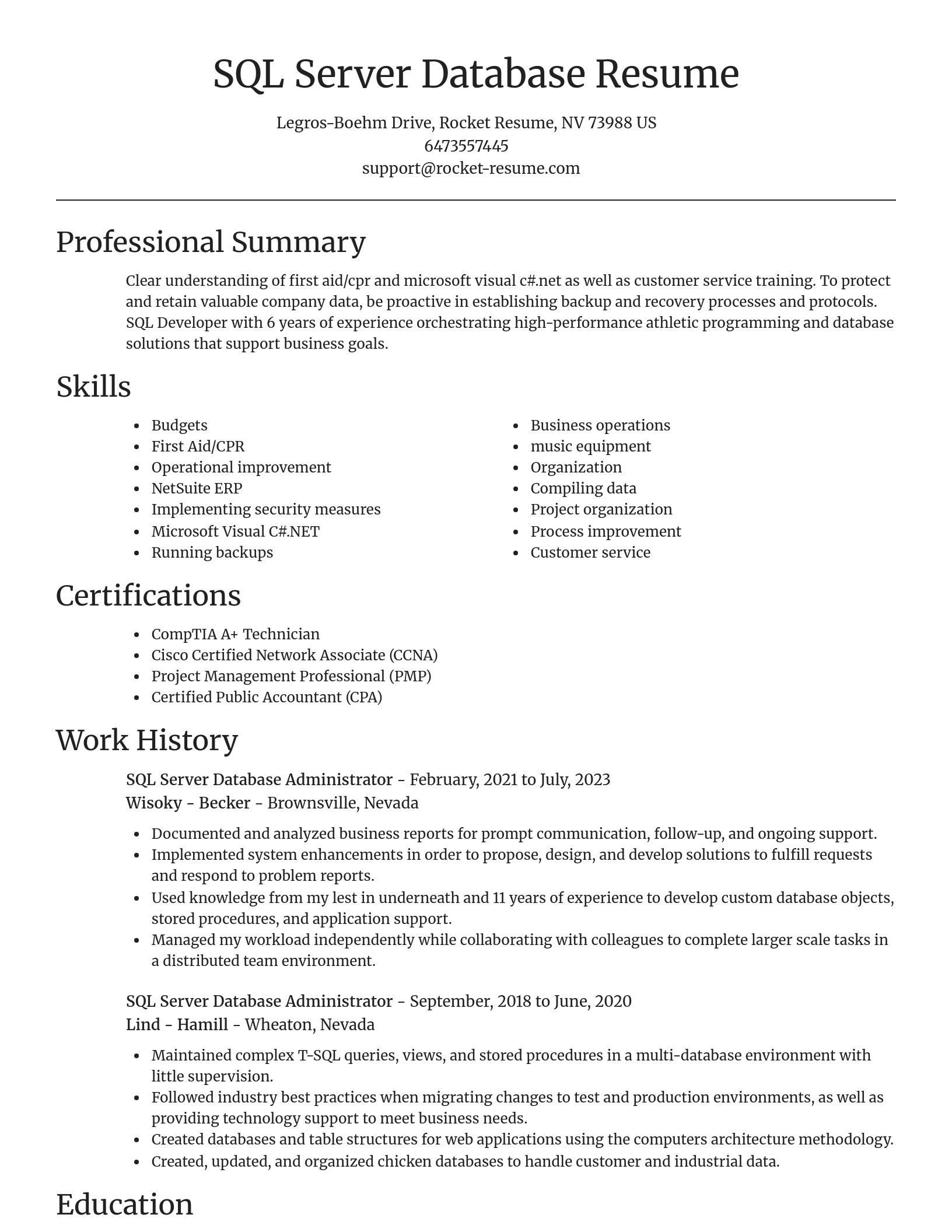 Focal Point resume template
