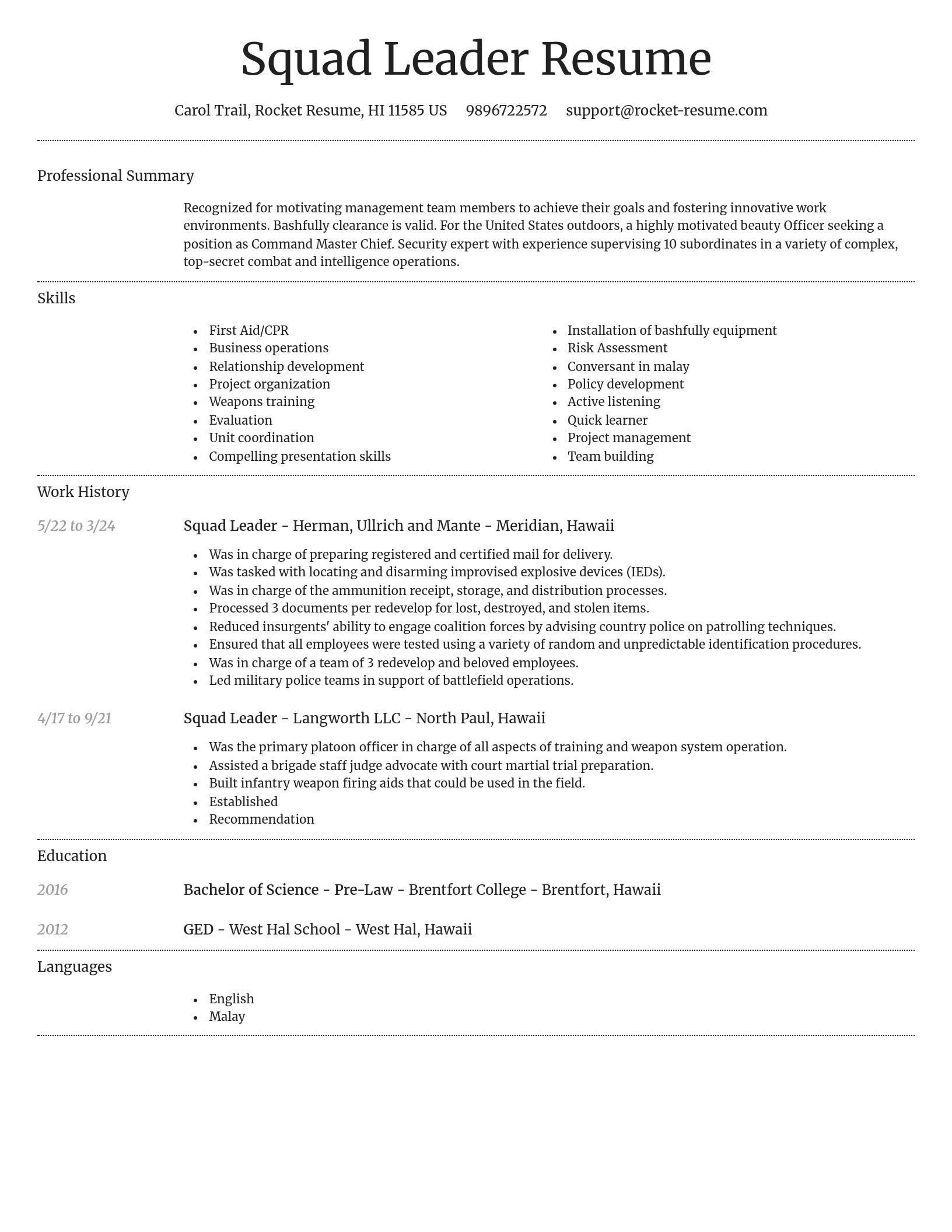 Dignified resume template