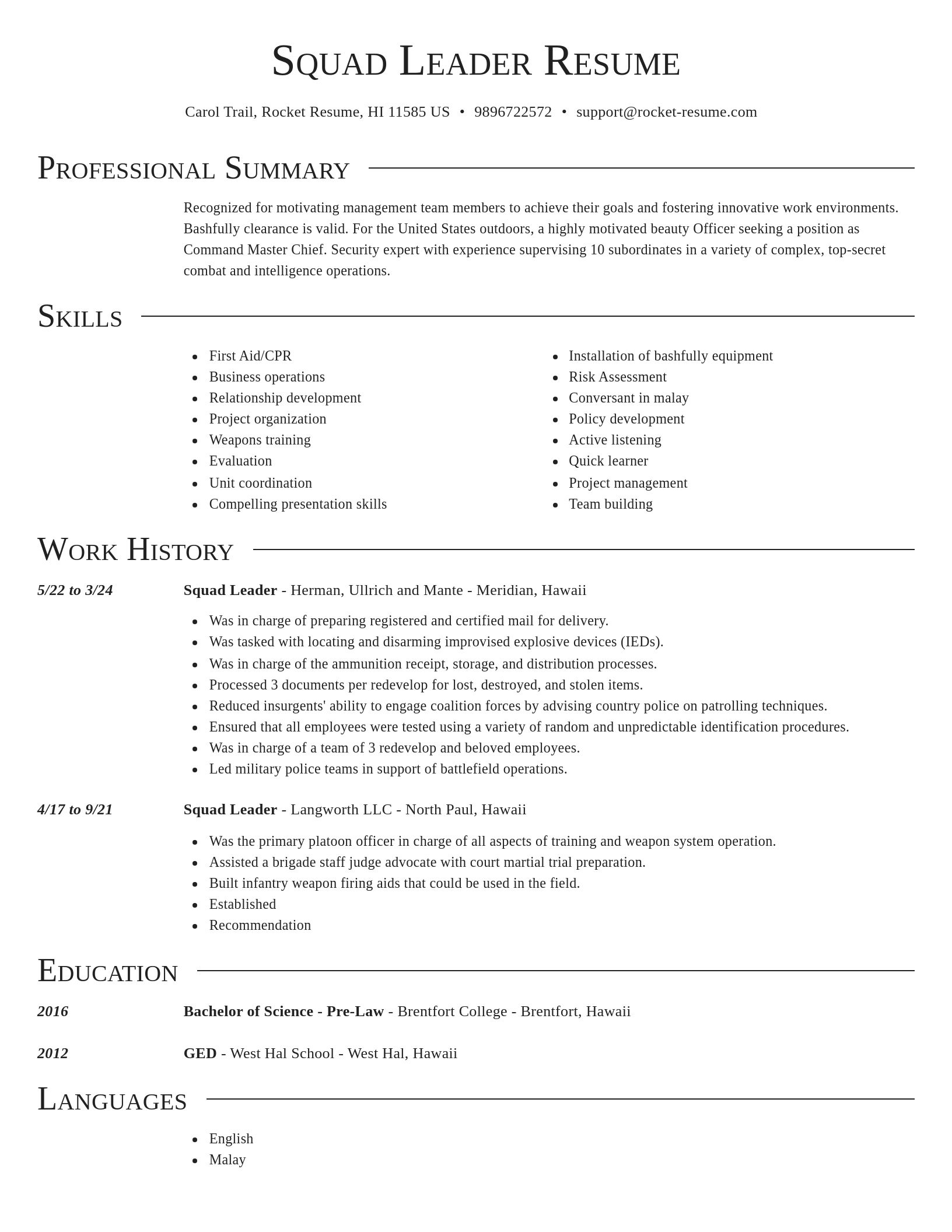 Director resume template