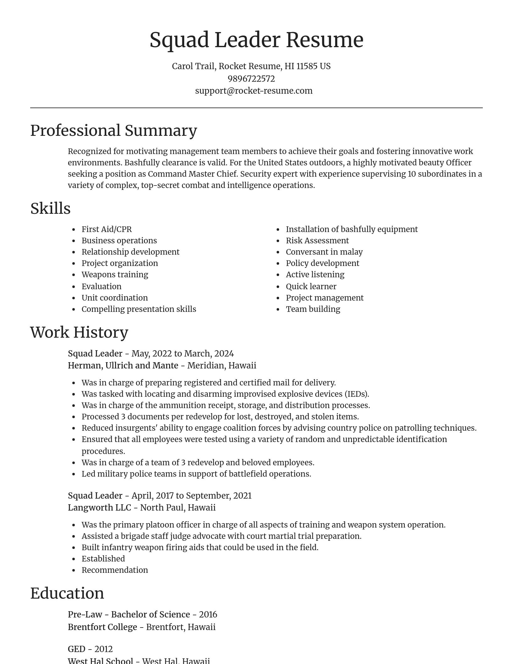 Focal Point resume template