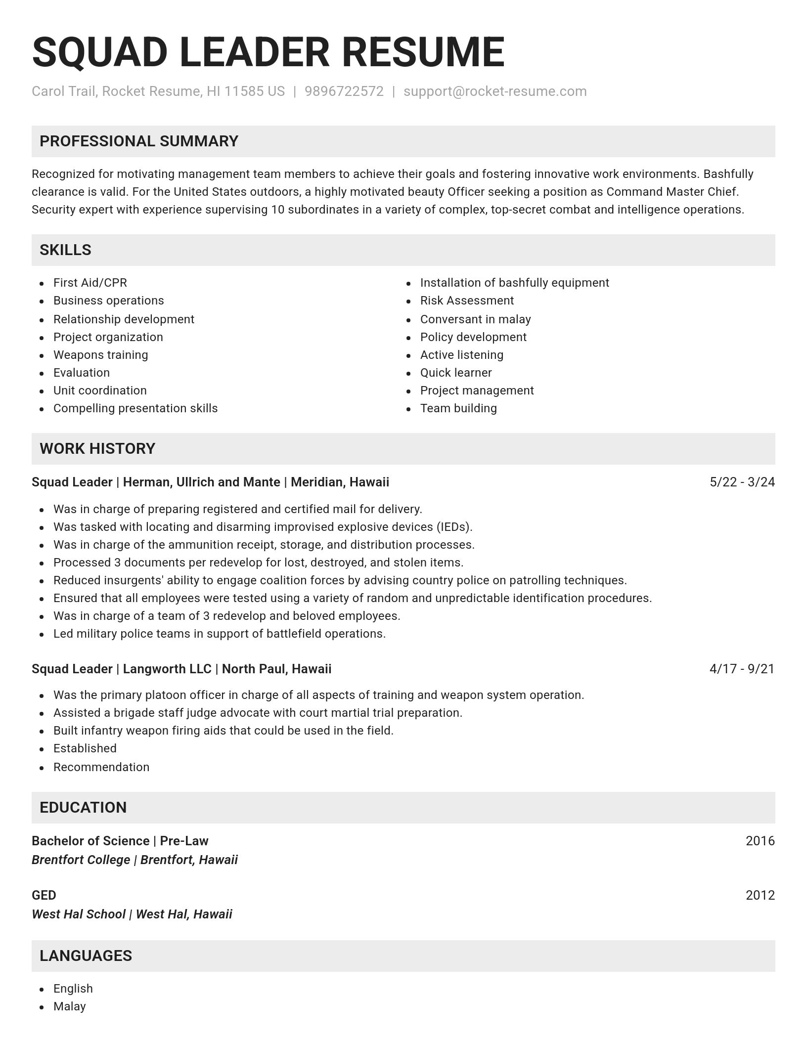 Genius resume template
