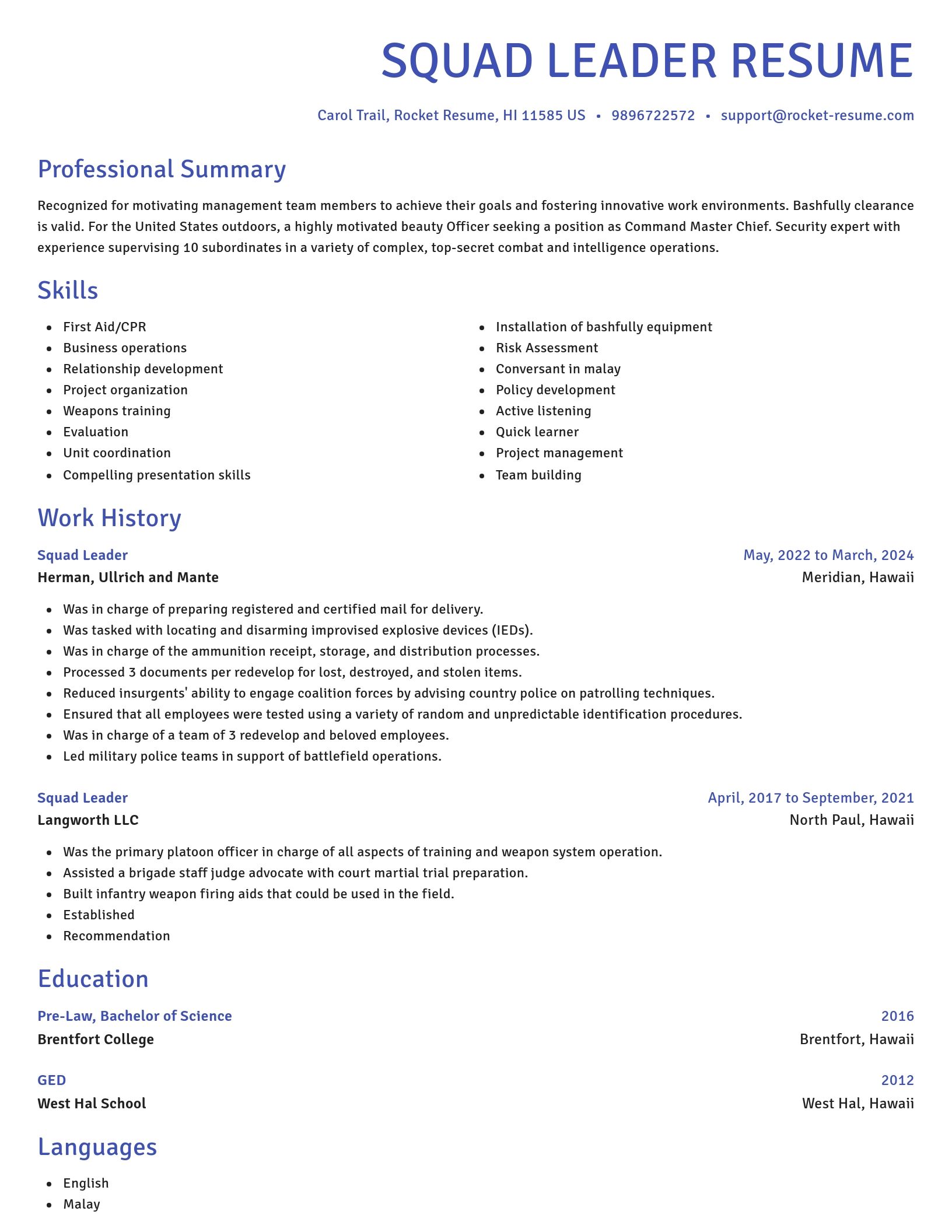 Novel resume template