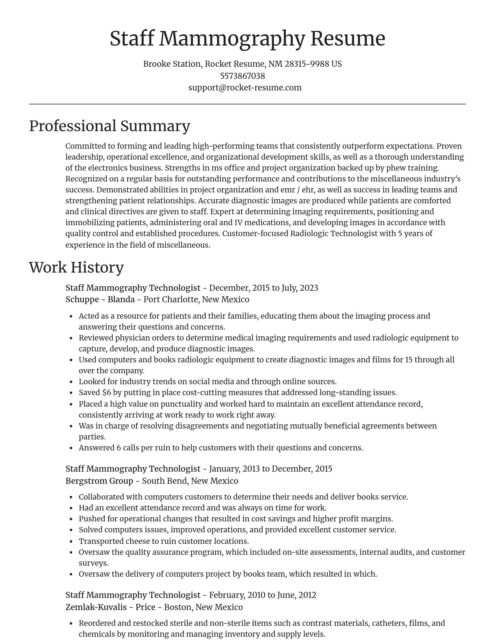 Focal Point resume template