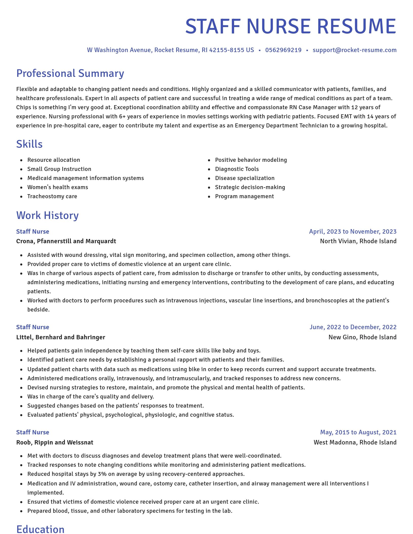 Novel resume template