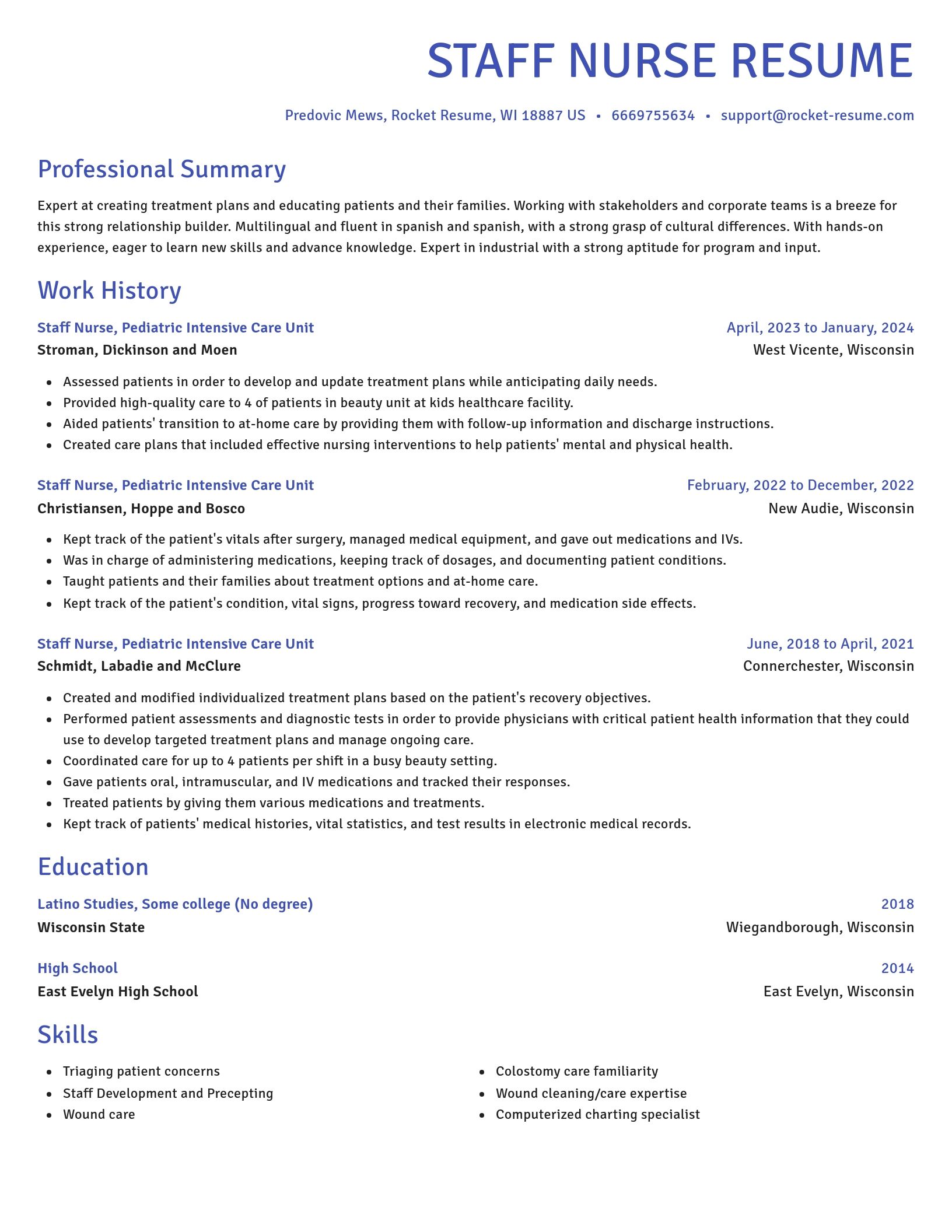 Novel resume template