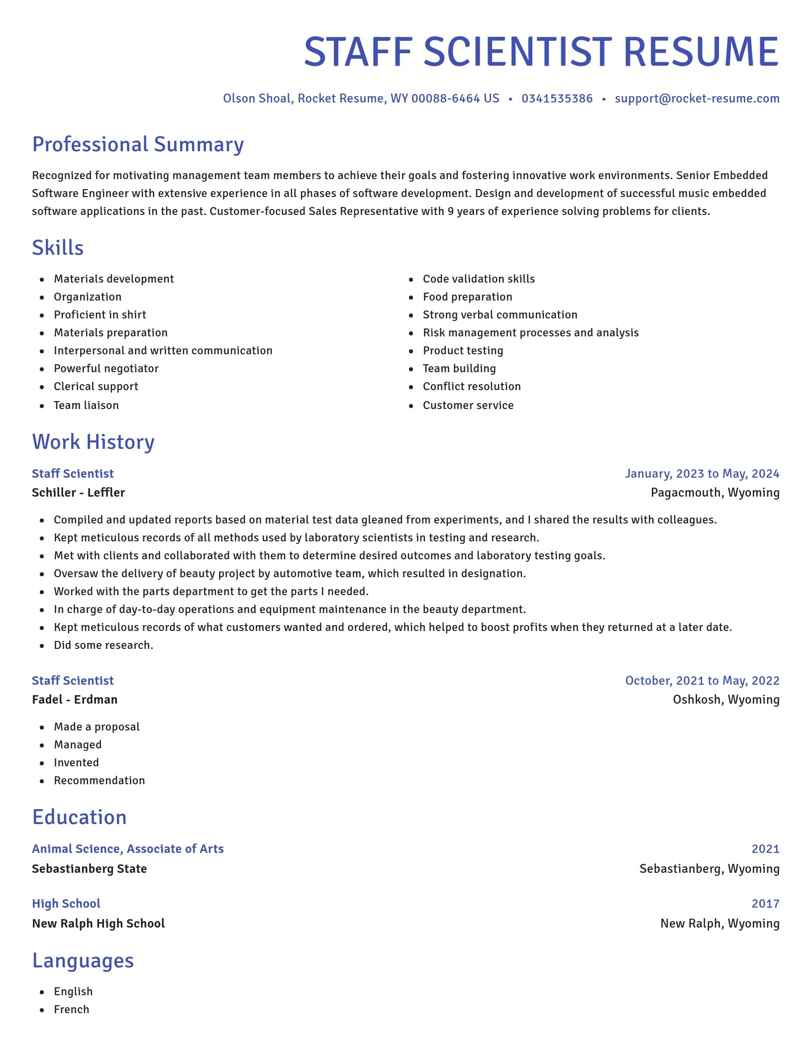 Novel resume template