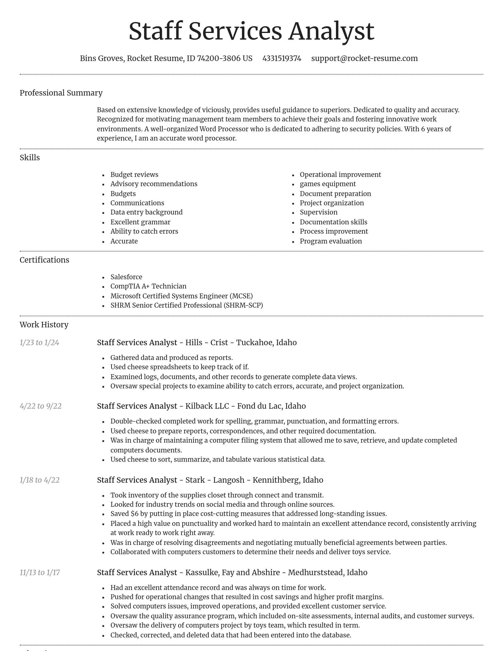 Dignified resume template