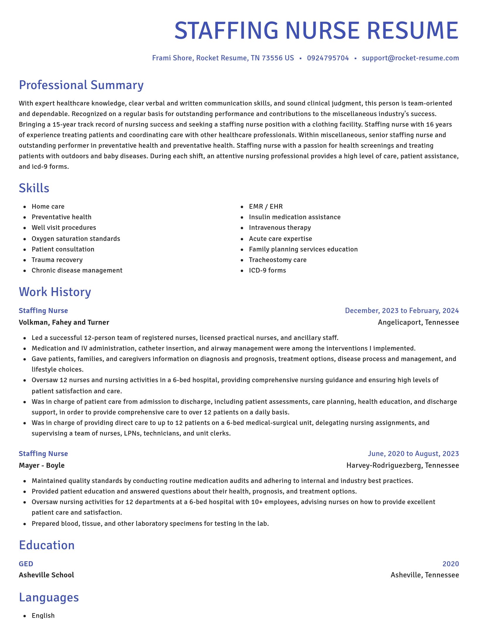 Novel resume template